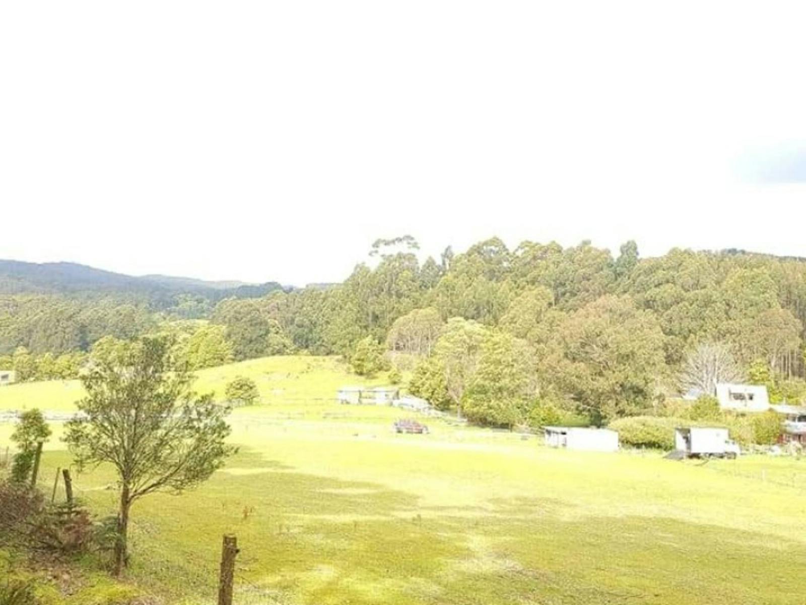 Jarek Springs Shangrila