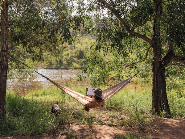 Pack your hammock and a book!