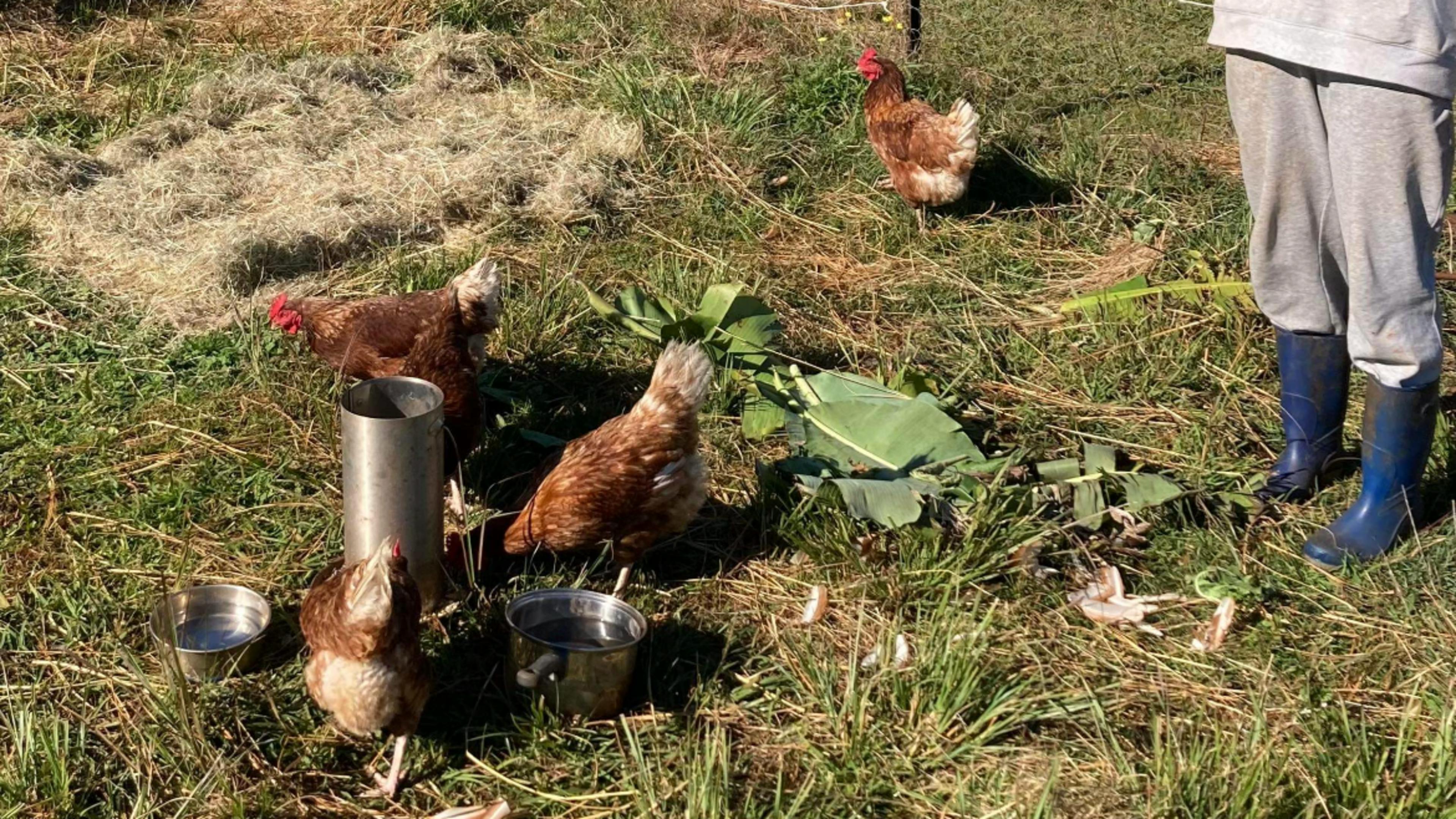 에덴 크릭 보호구역