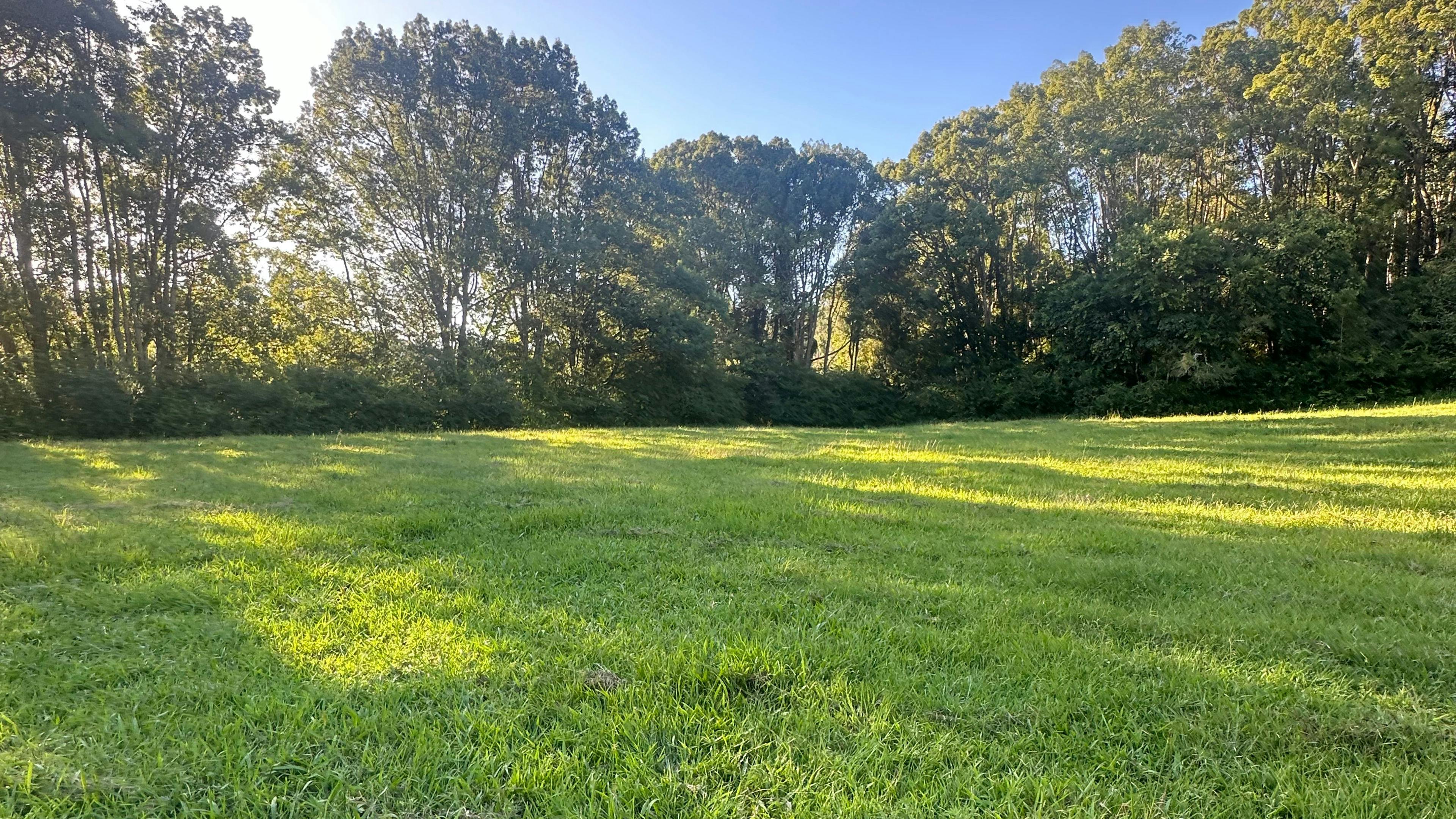 威爾遜河度假村