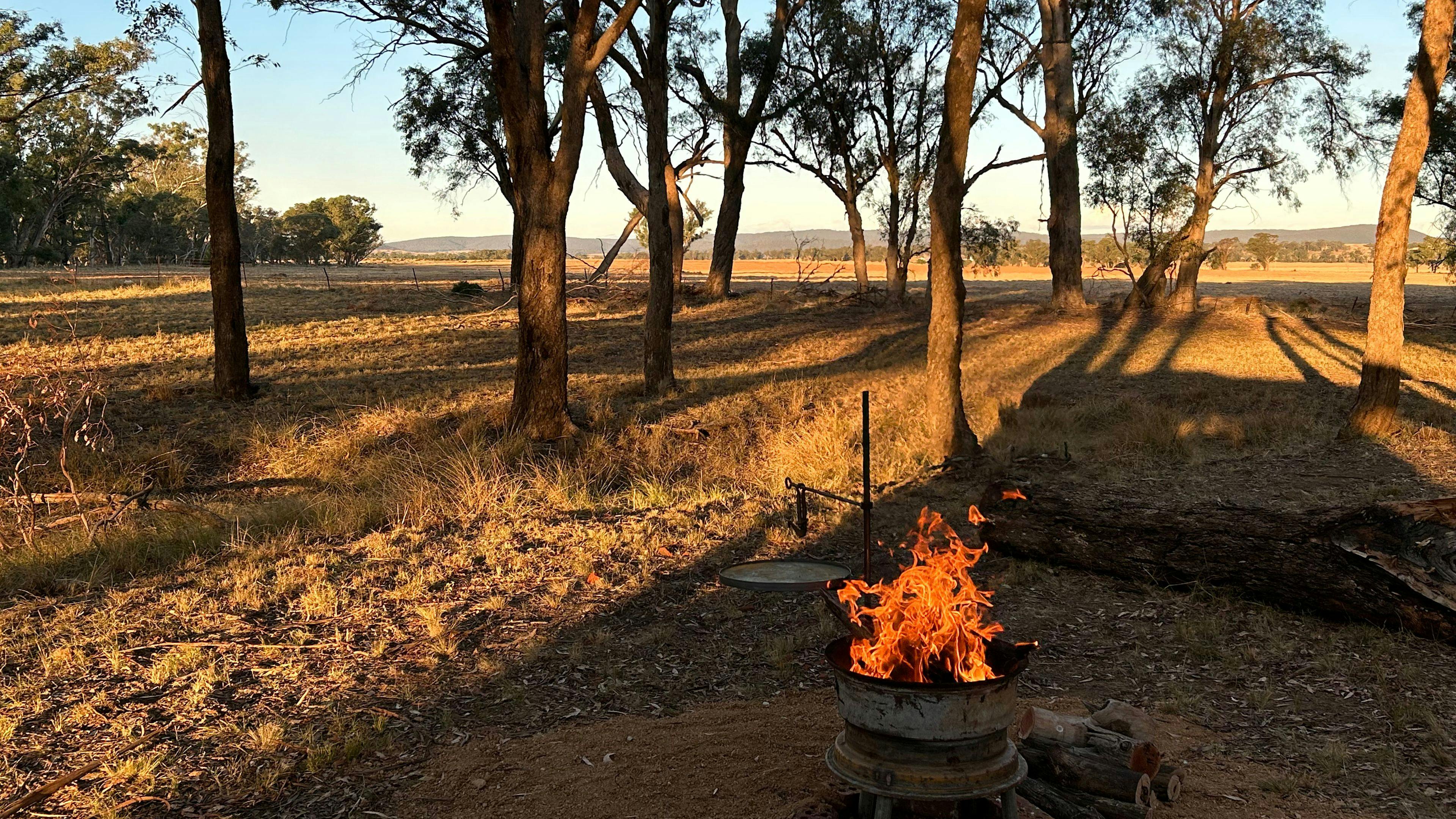 Burrill Creek Camping