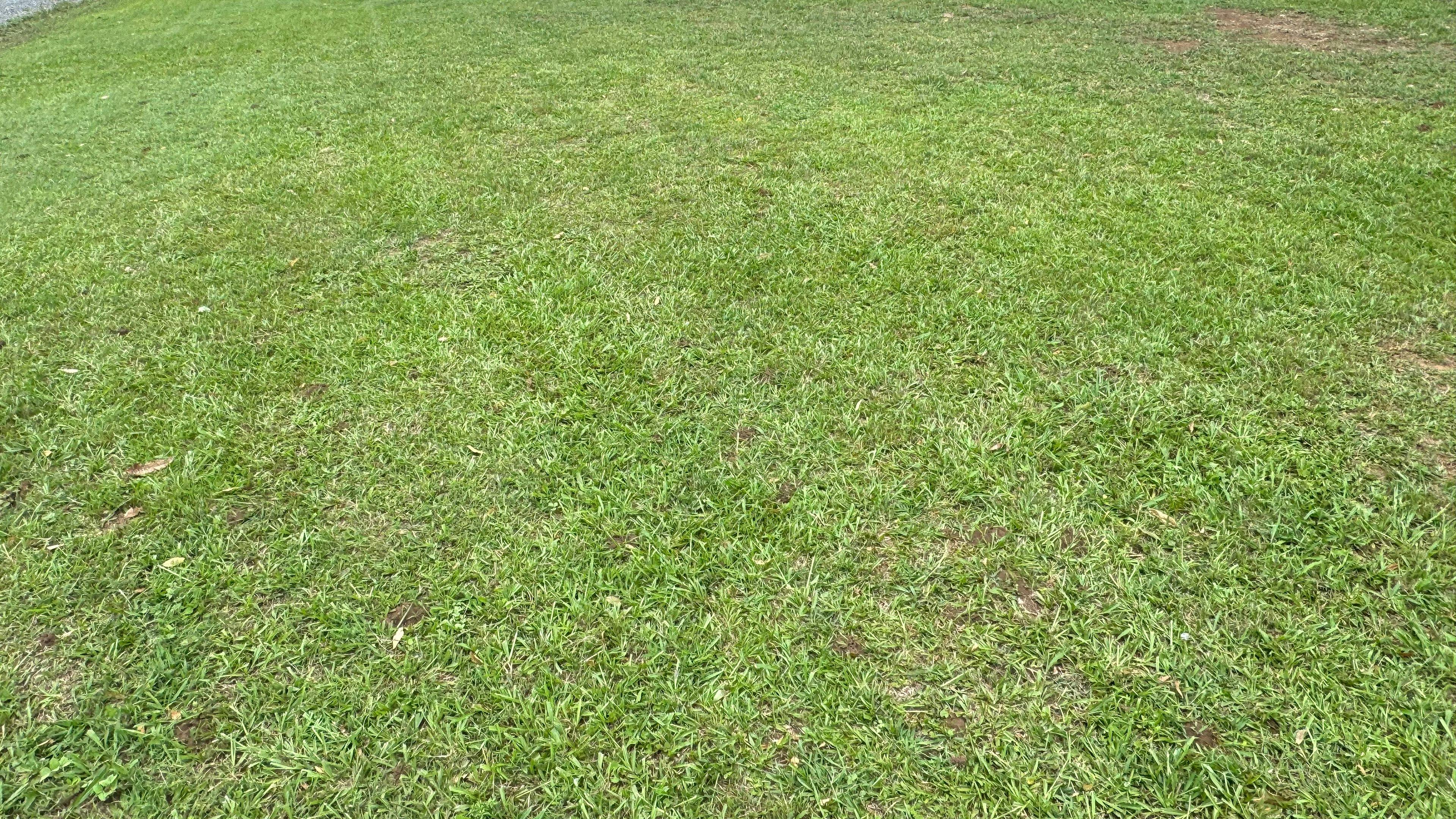 Bonville Creek Haven