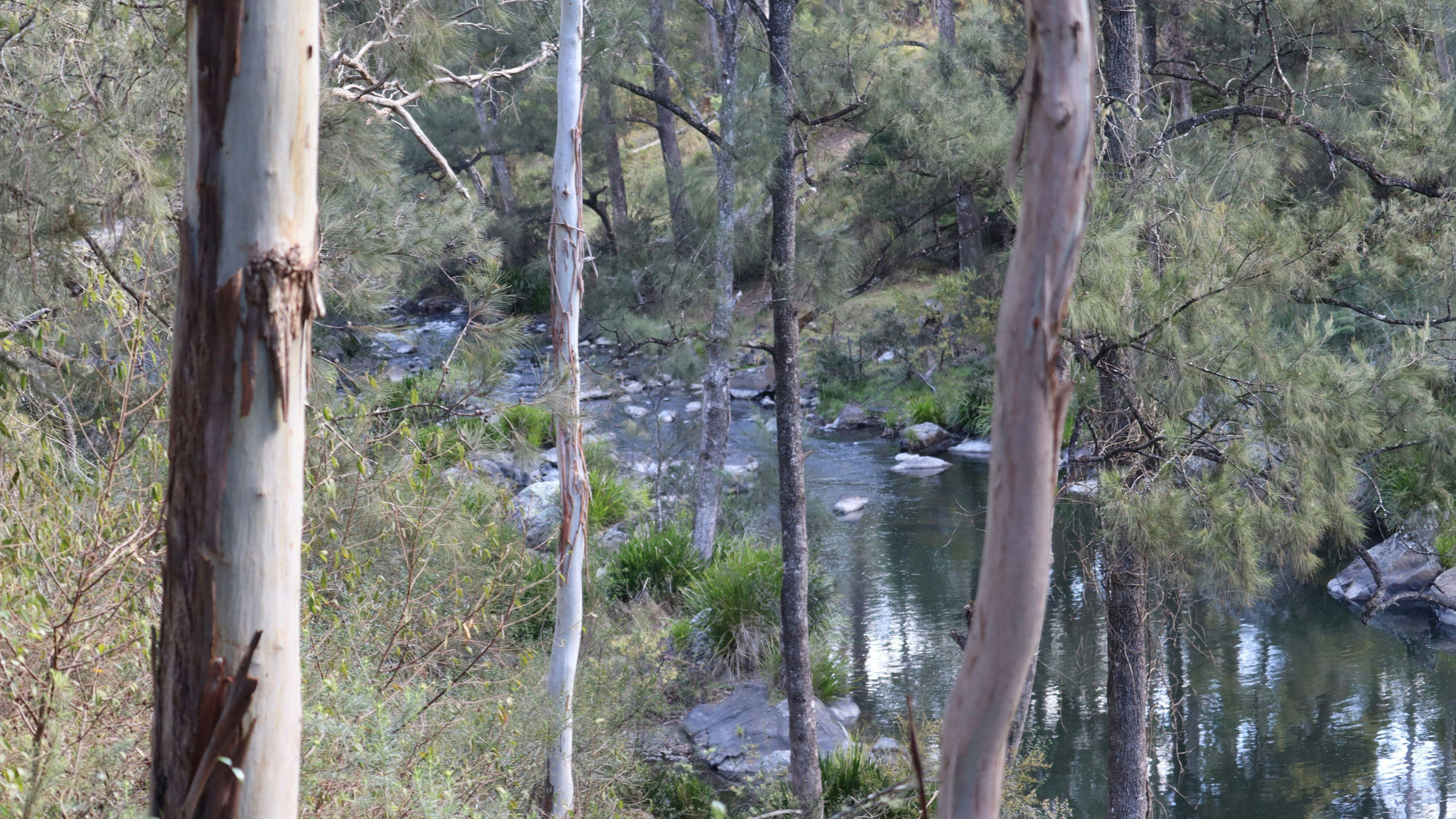 Blicks River Camping