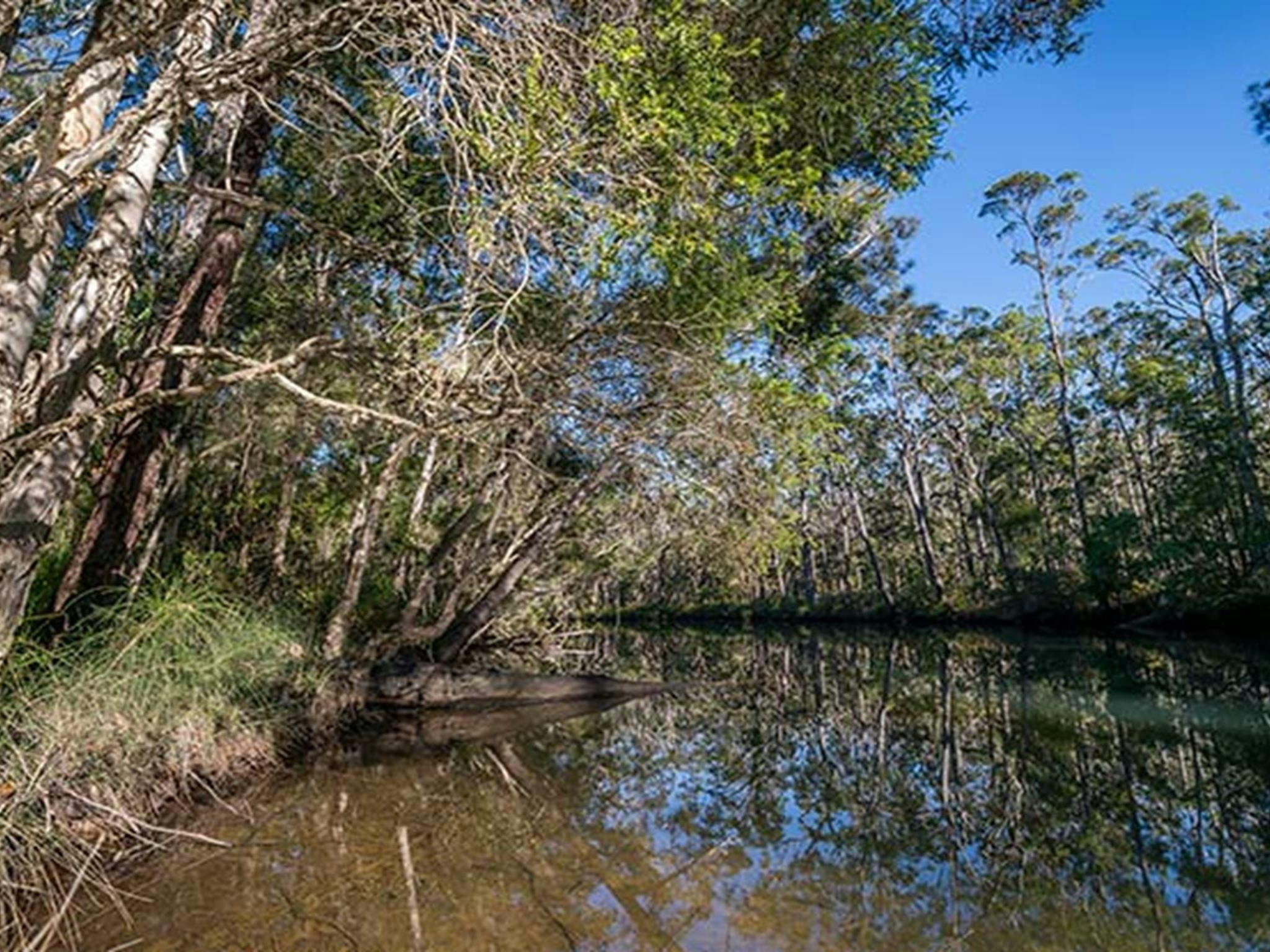 Queens Lake Nature Reserve. Photo: John Spencer © DPIE