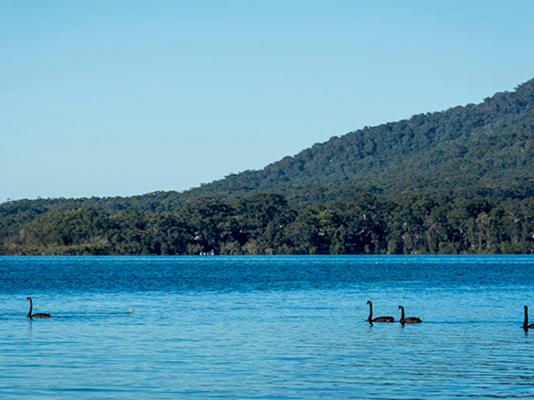Queens Lake Nature Reserve. Photo: John Spencer