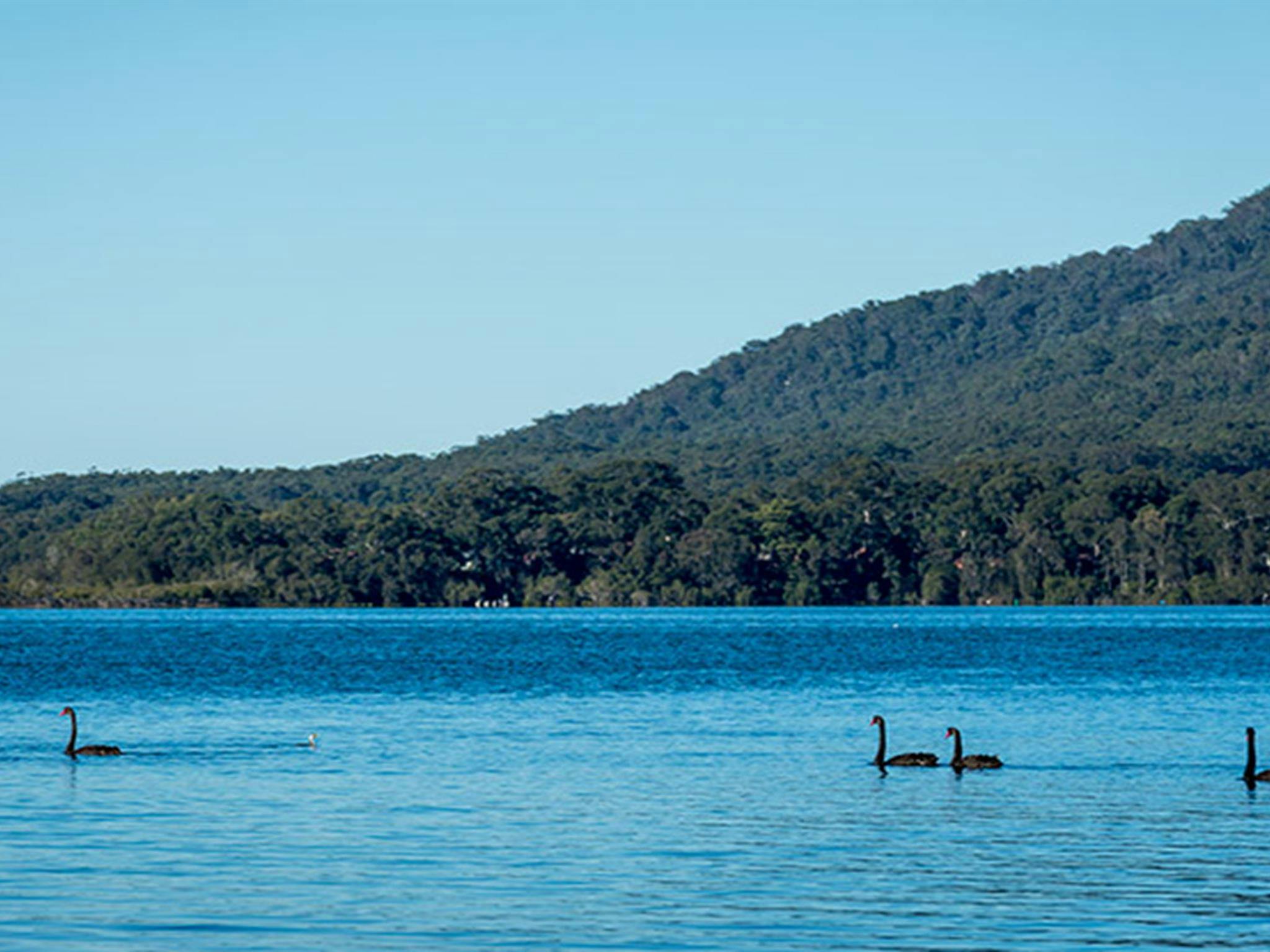 Queens Lake Nature Reserve. Photo: John Spencer