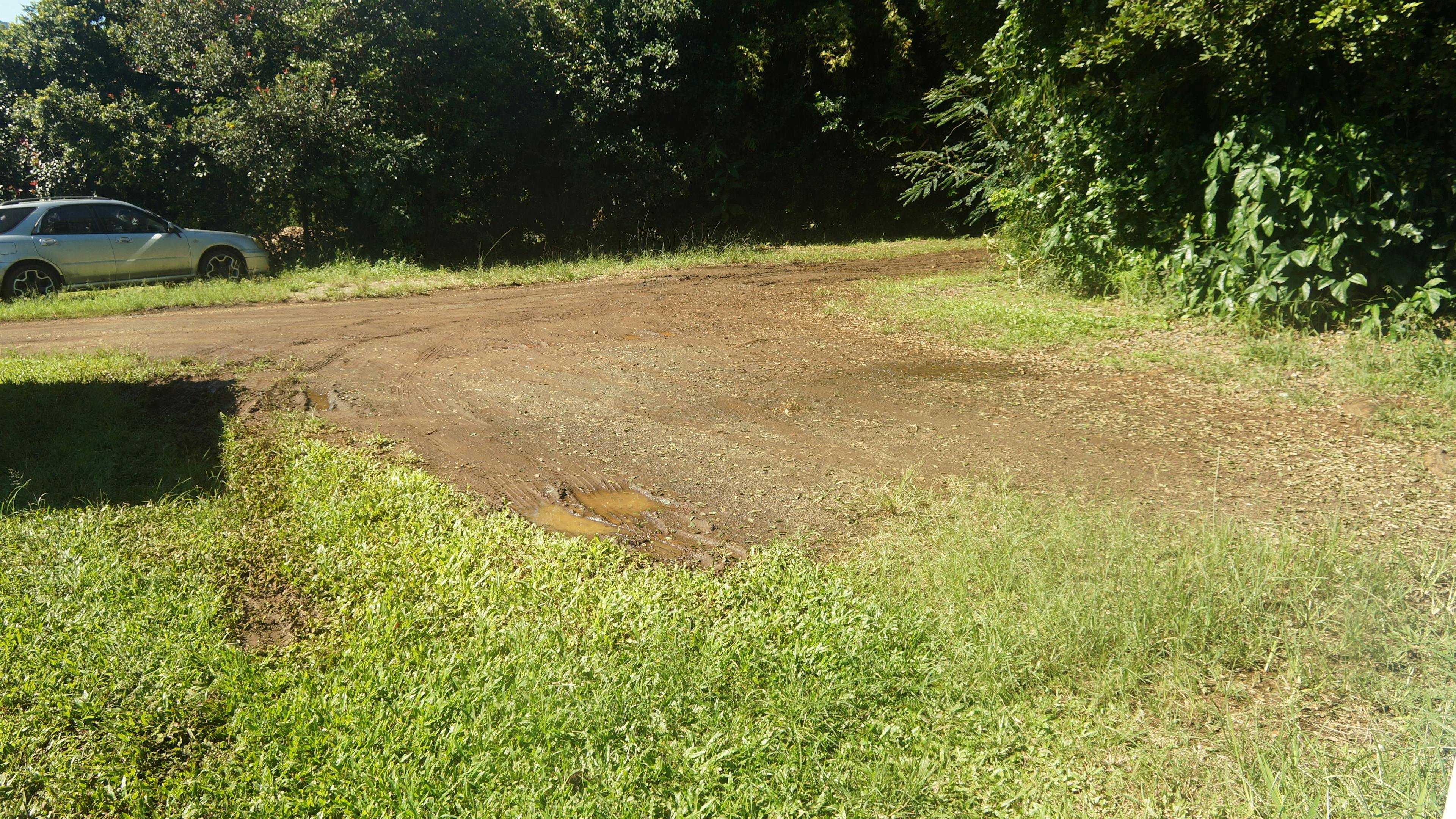 静かで、半社交的な雰囲気。