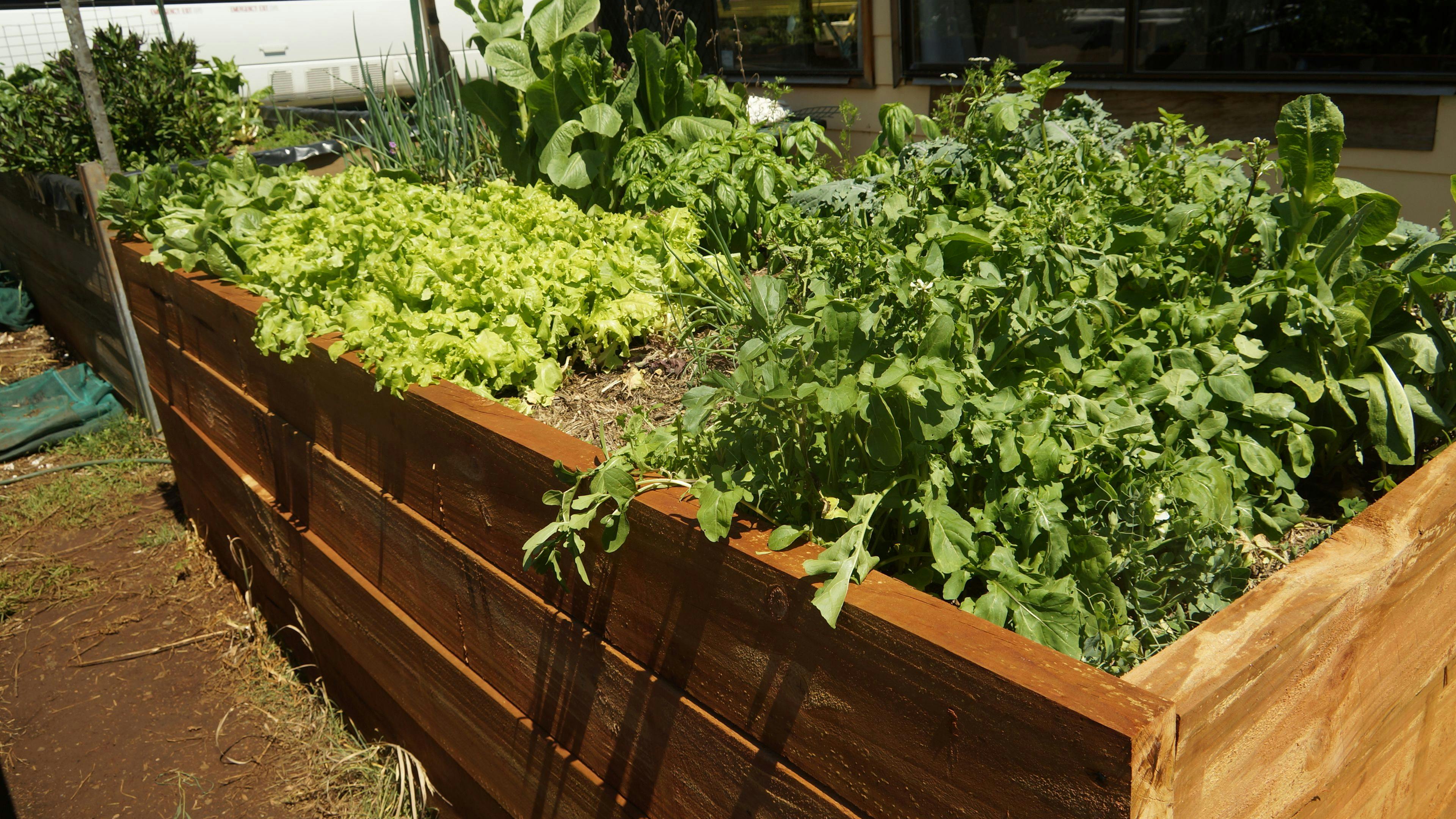 静かで、半社交的な雰囲気。