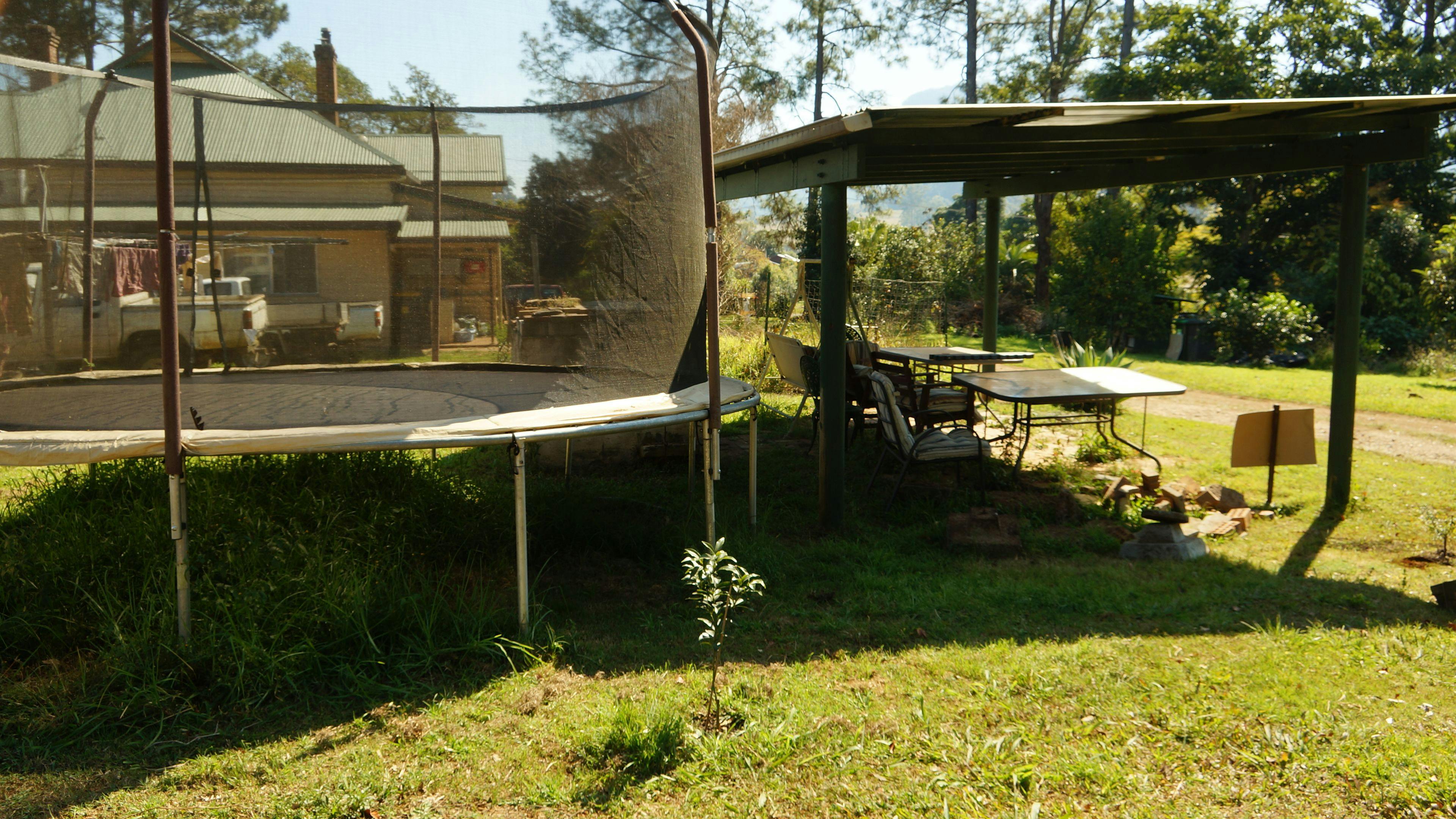 静かで、半社交的な雰囲気。