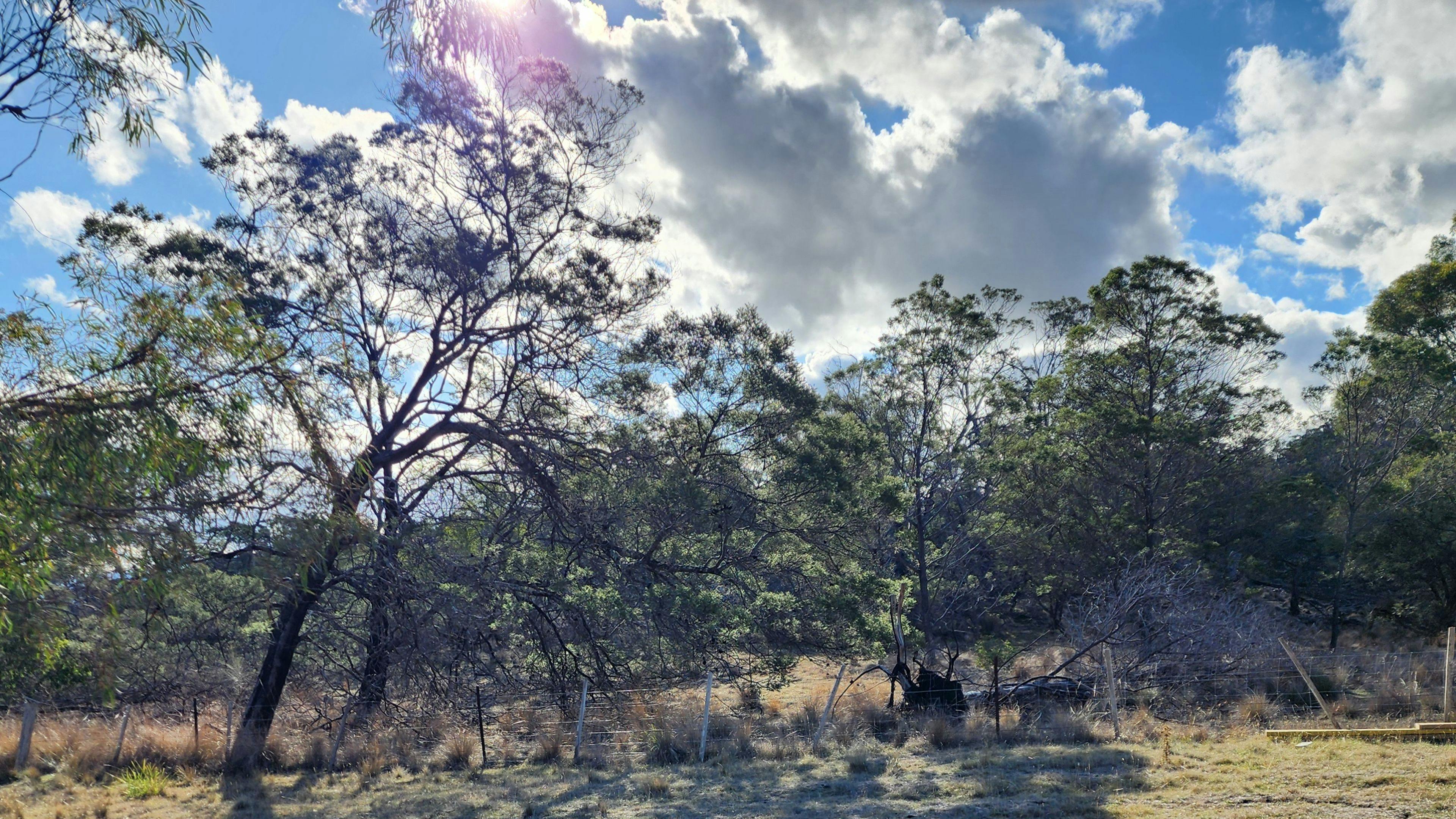 Quoin Ridge Camp Ground