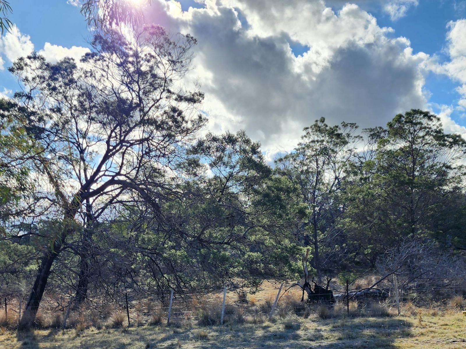 Quoin Ridge Camp Ground