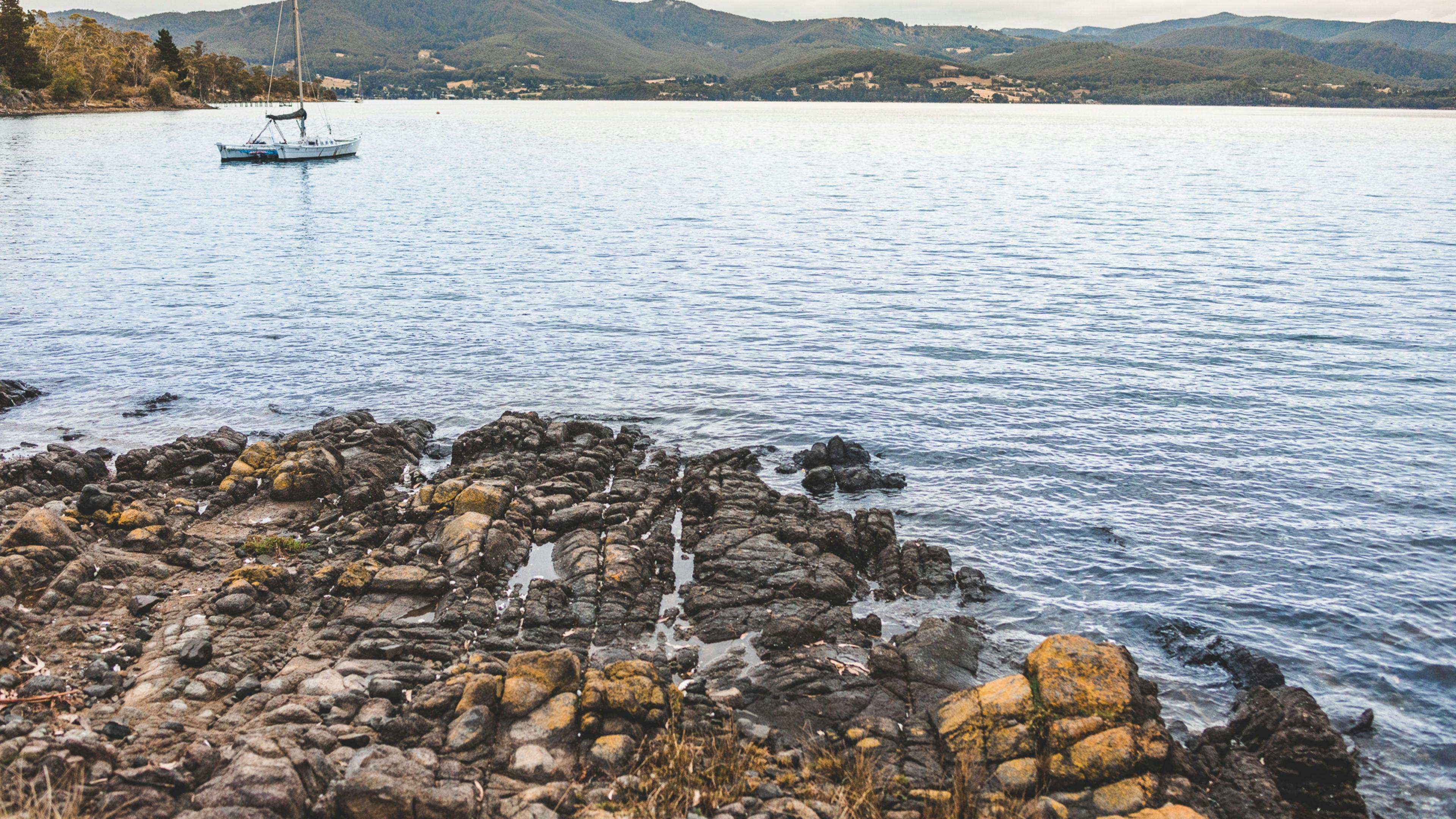 Quoll Hideaway - Bruny Island Bush & Beach camping