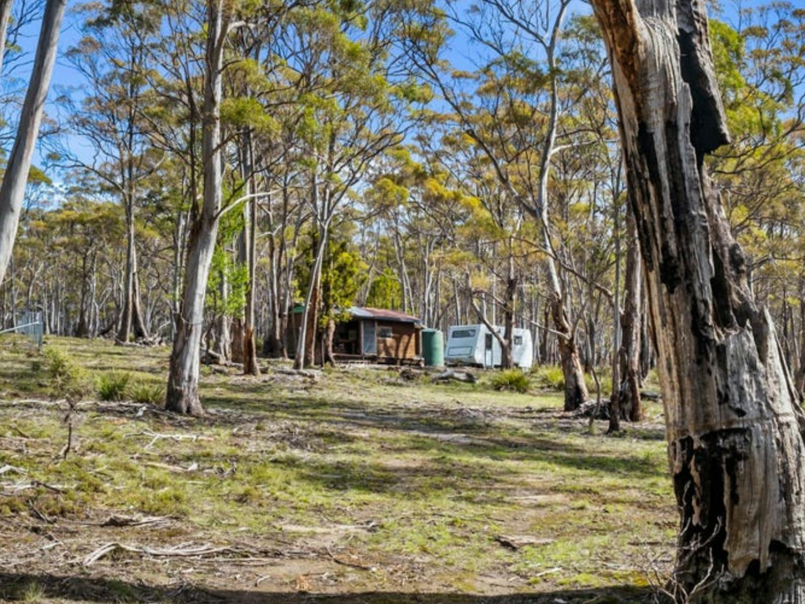 Quoll Hideaway - Bush & Beach camping is an excellent escape on Bruny Island