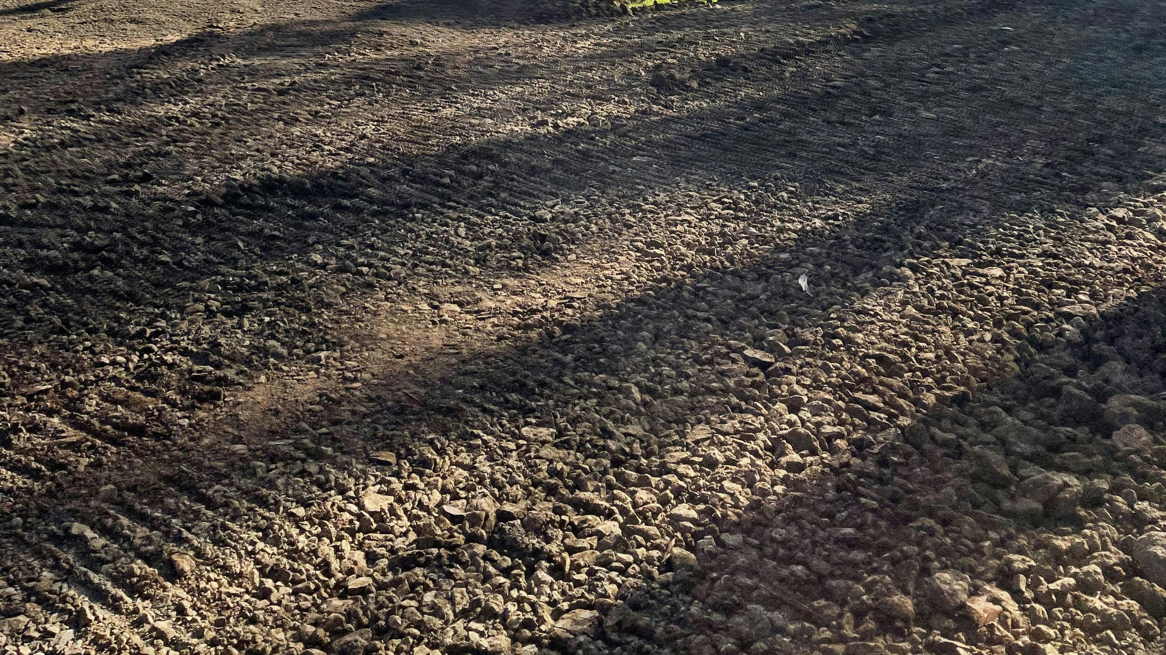 Mabel's Paddock RV Farm Stay