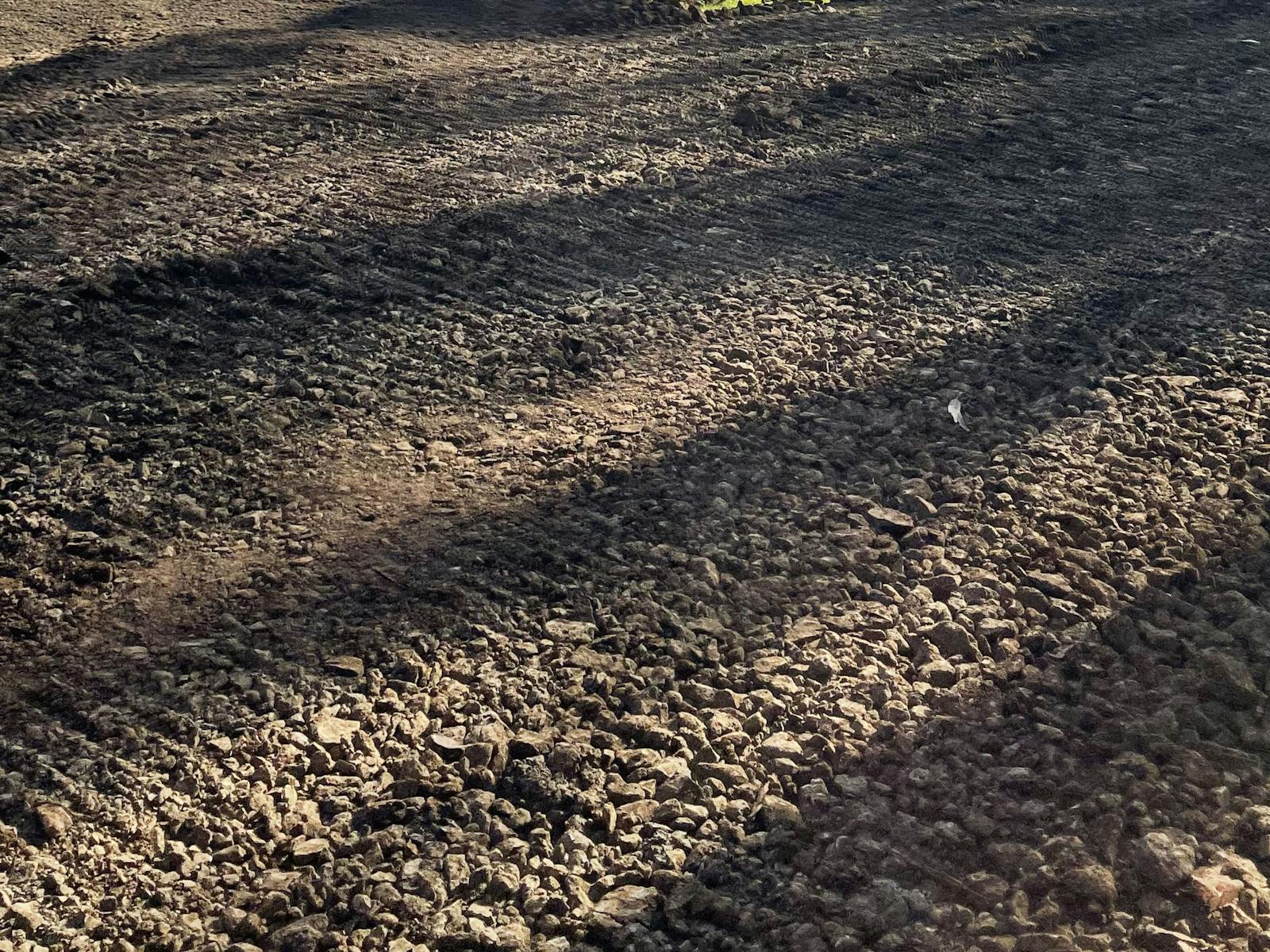 Mabel's Paddock RV Farm Stay