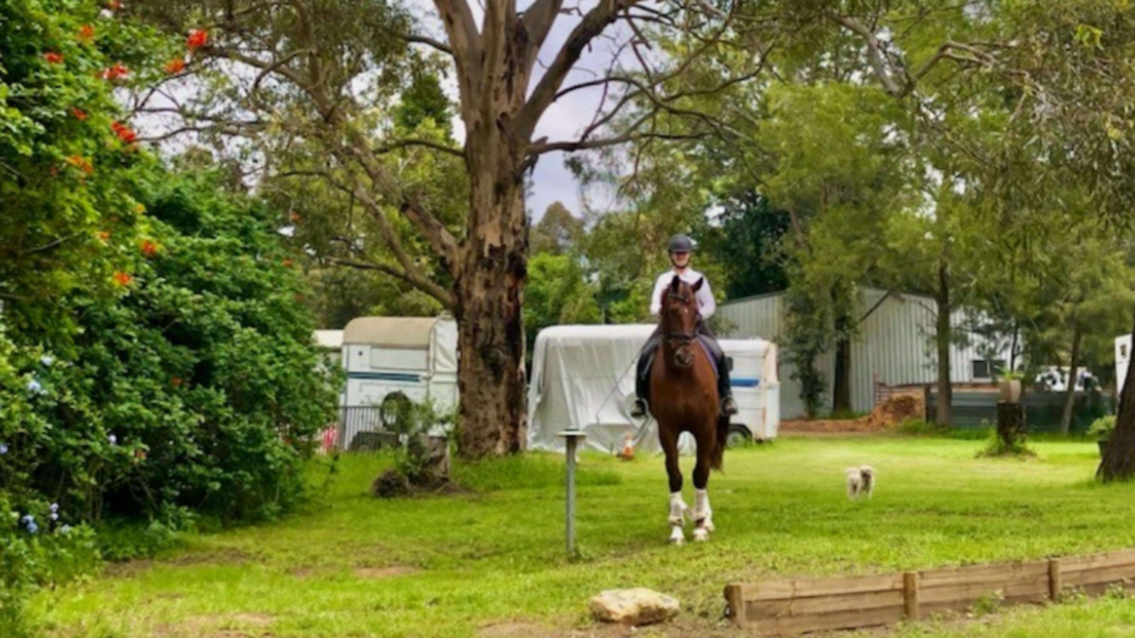 Hunter Valley Equestrian Centre