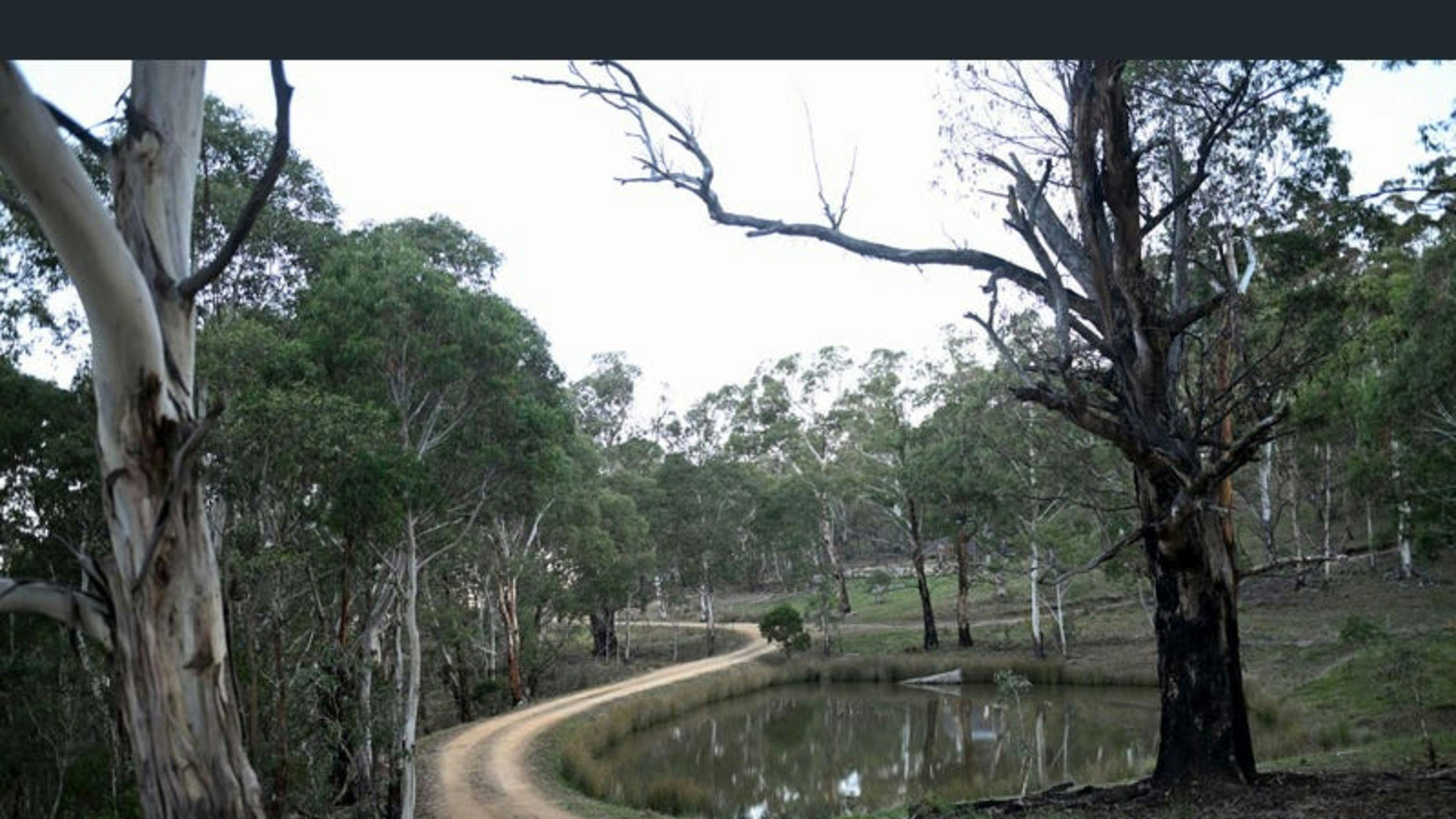 アルパインブッシュランドキャンプ