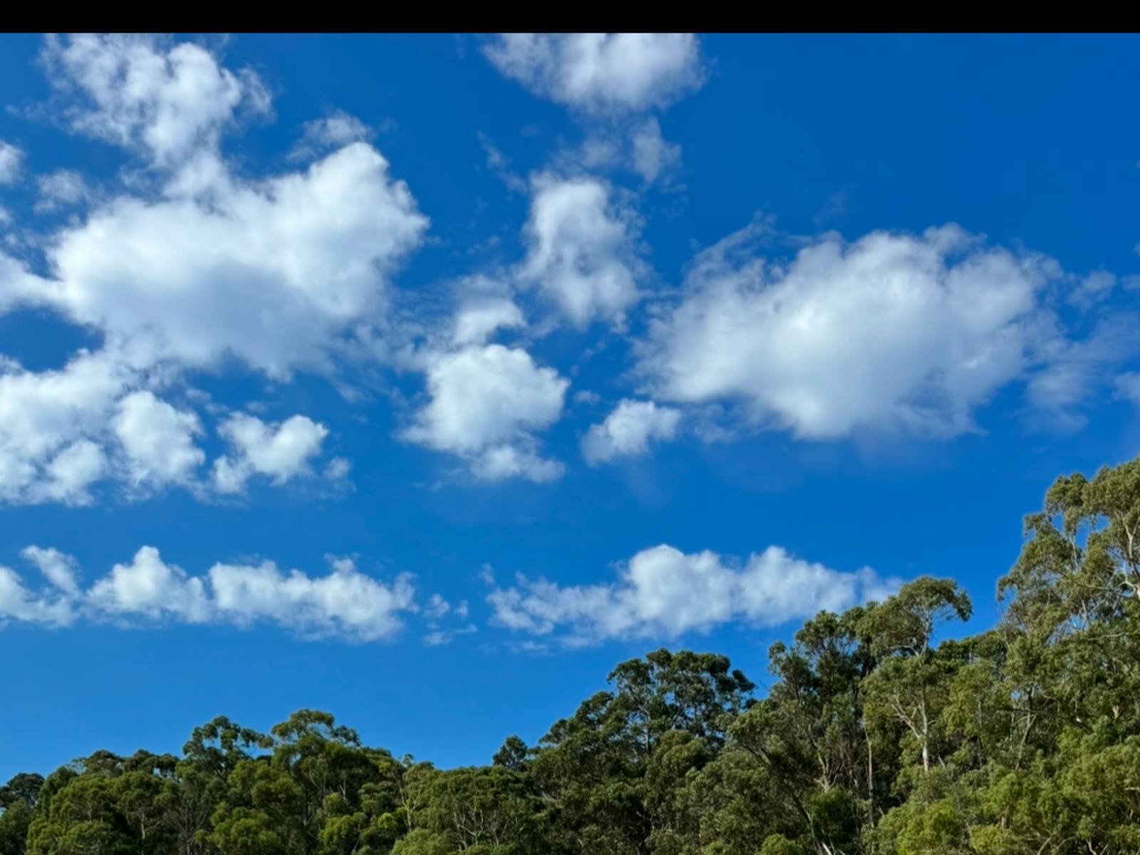 Lunawanna Campground