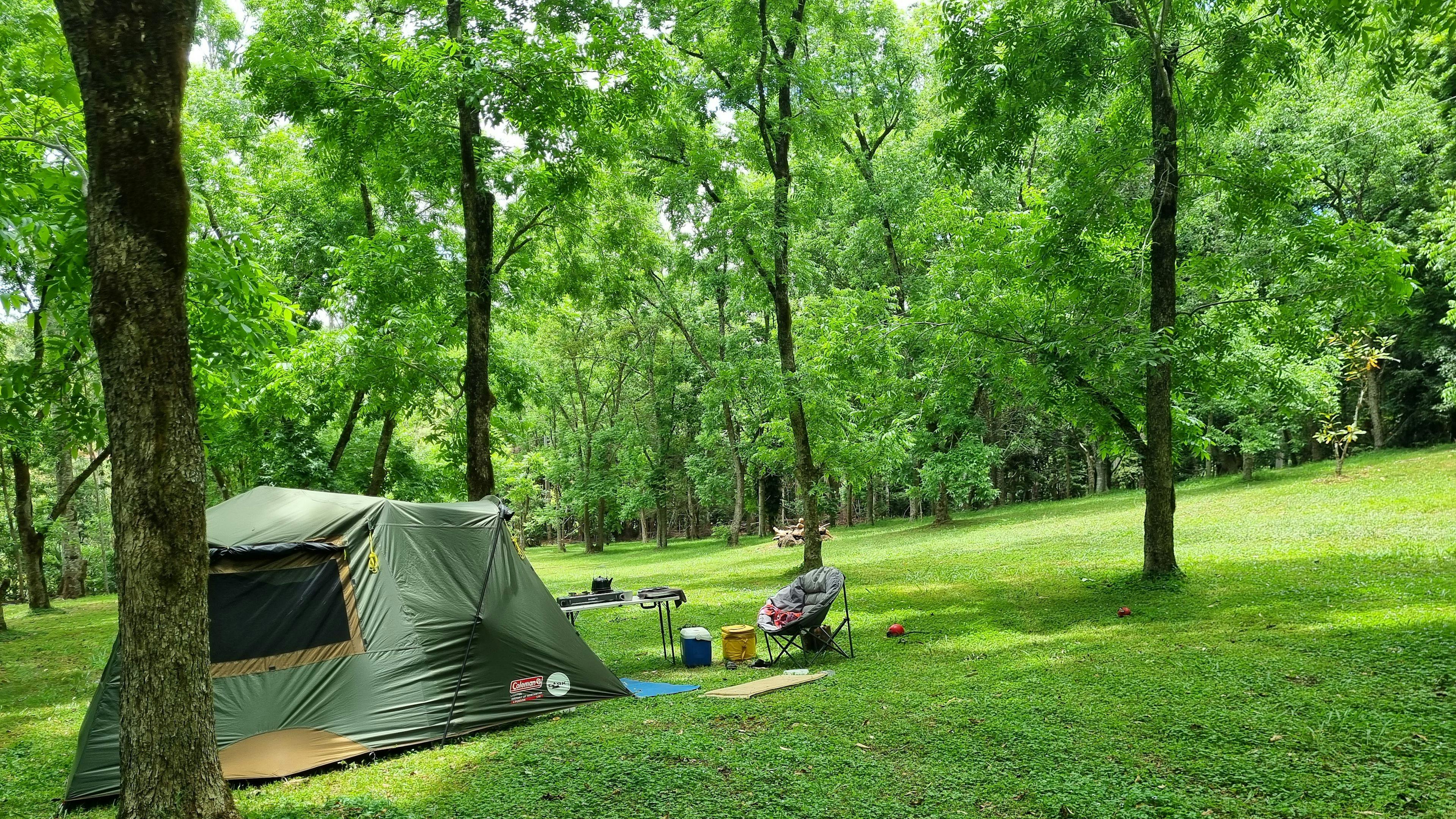 熱帯雨林の隠れ家