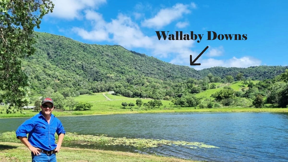 Wallaby Downs