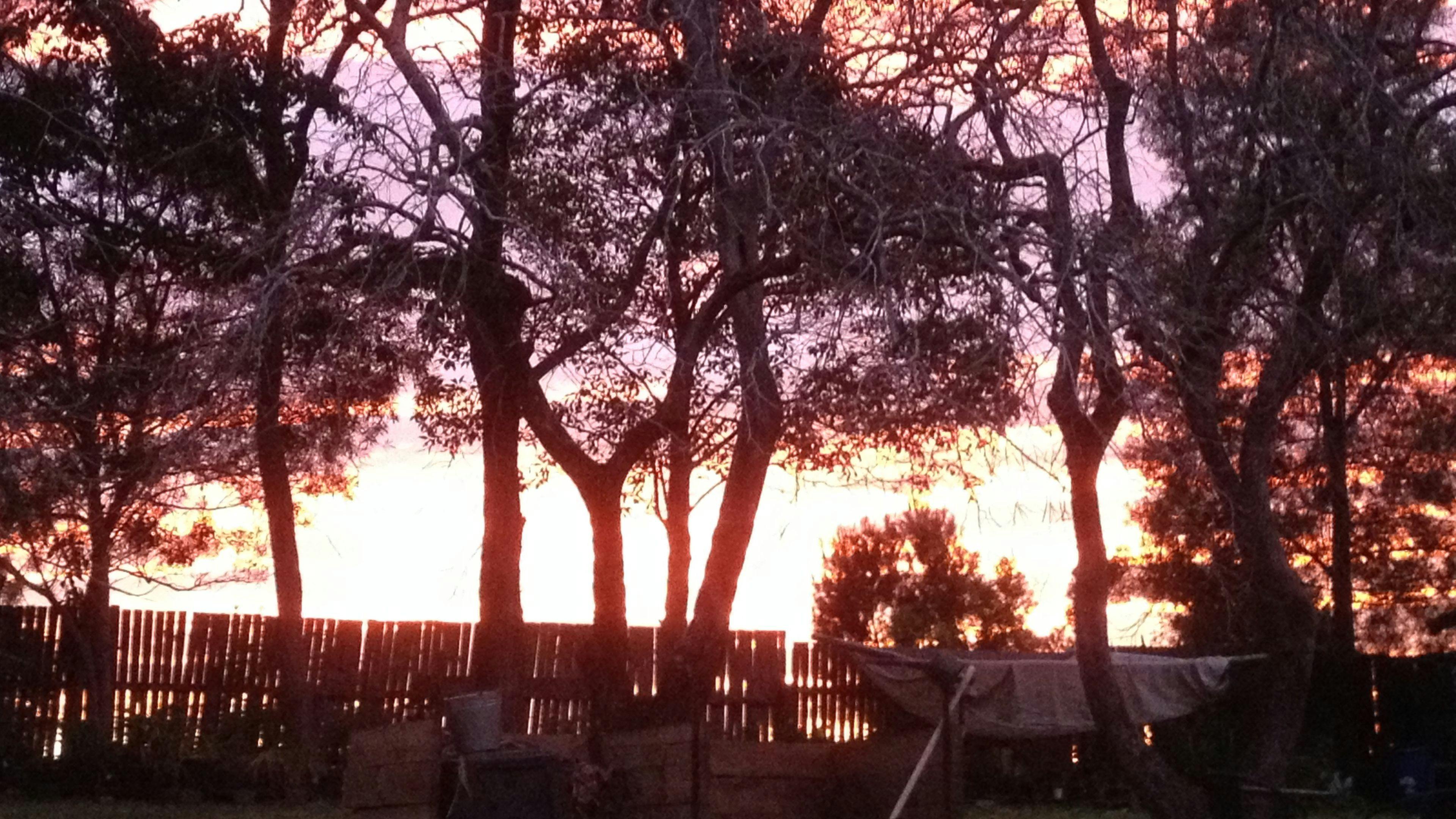 고요한 정원 캠핑