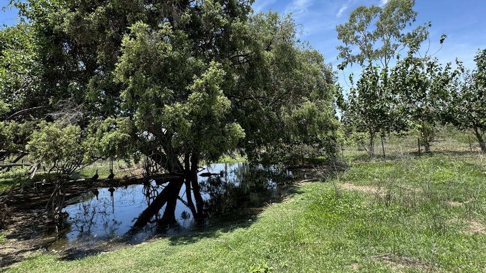 Five Leaf Clover Farm
