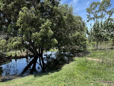 Five Leaf Clover Farm