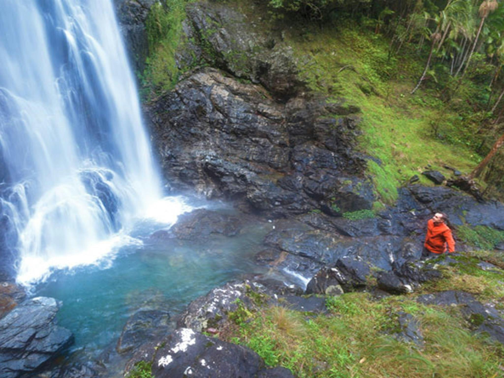 Wanderweg zu den Red Cedar Falls im Dorrigo-Nationalpark. Foto: Rob Cleary © OEH