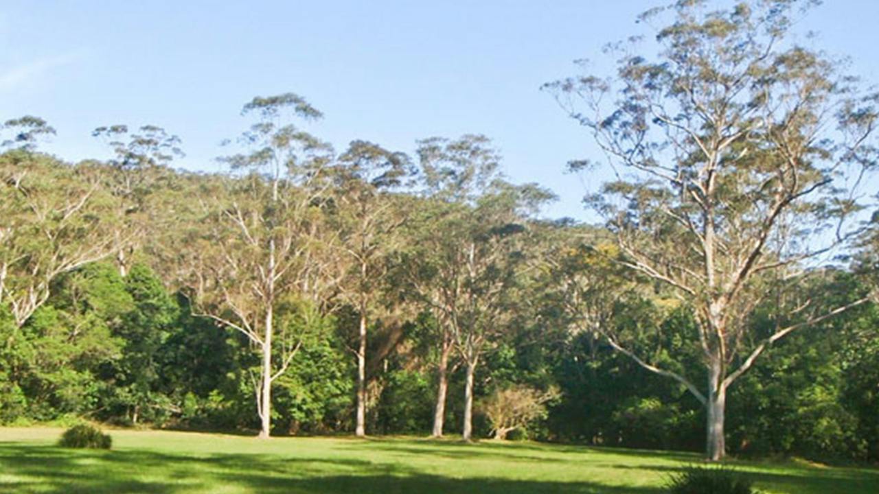 Red Cedar Flat picnic area