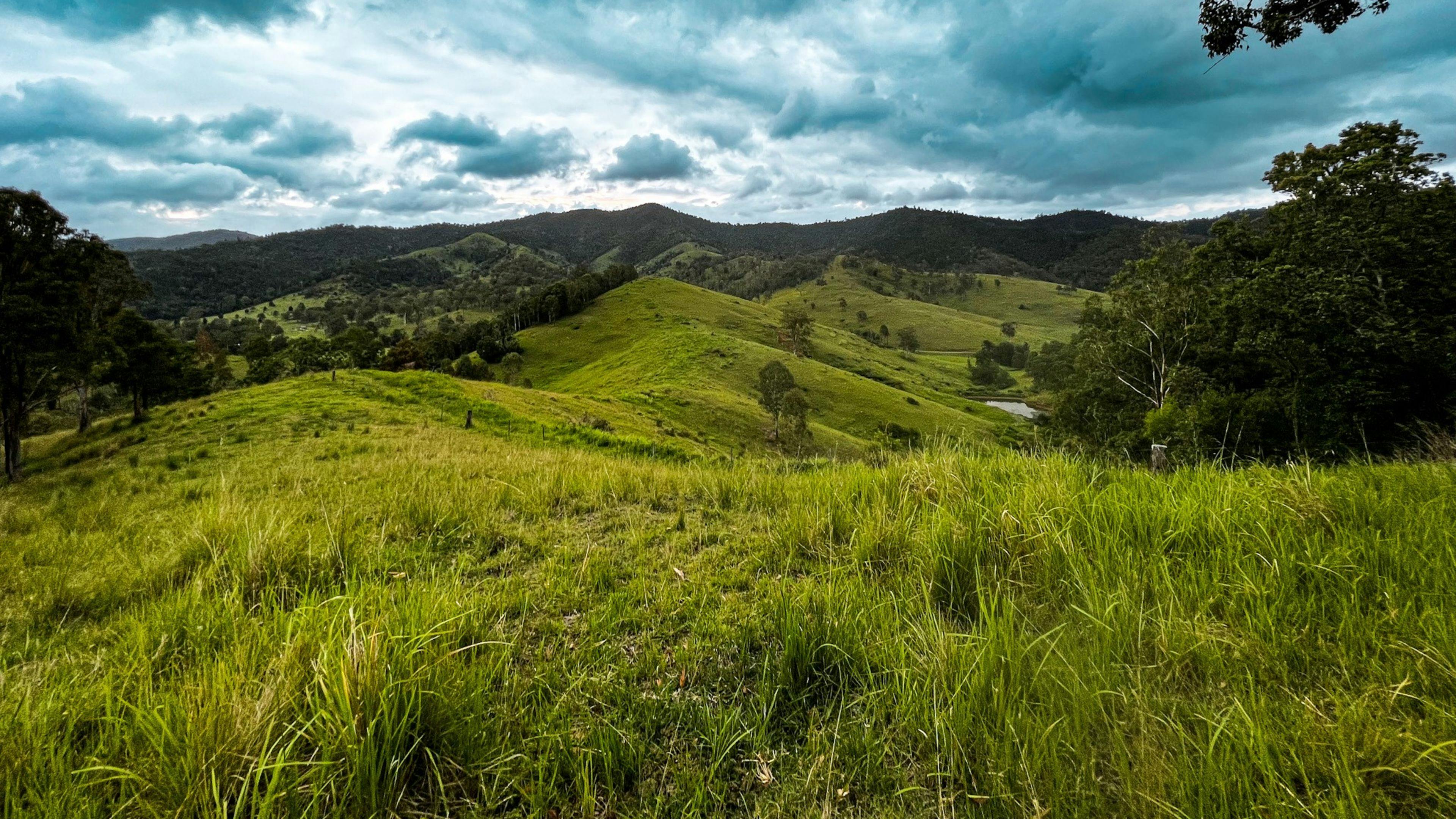 Red Cedar Valley