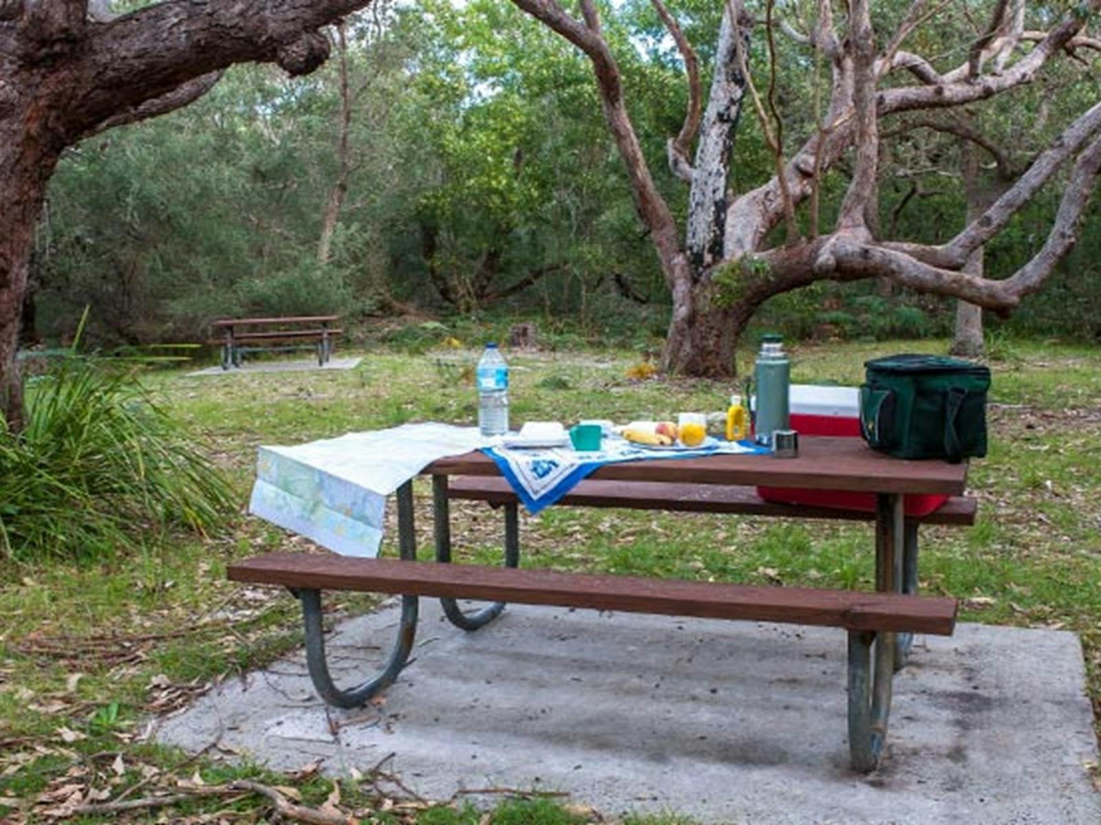 Shell Point Picnic Red Point picnic area - Shoalhaven - South Coast NSW