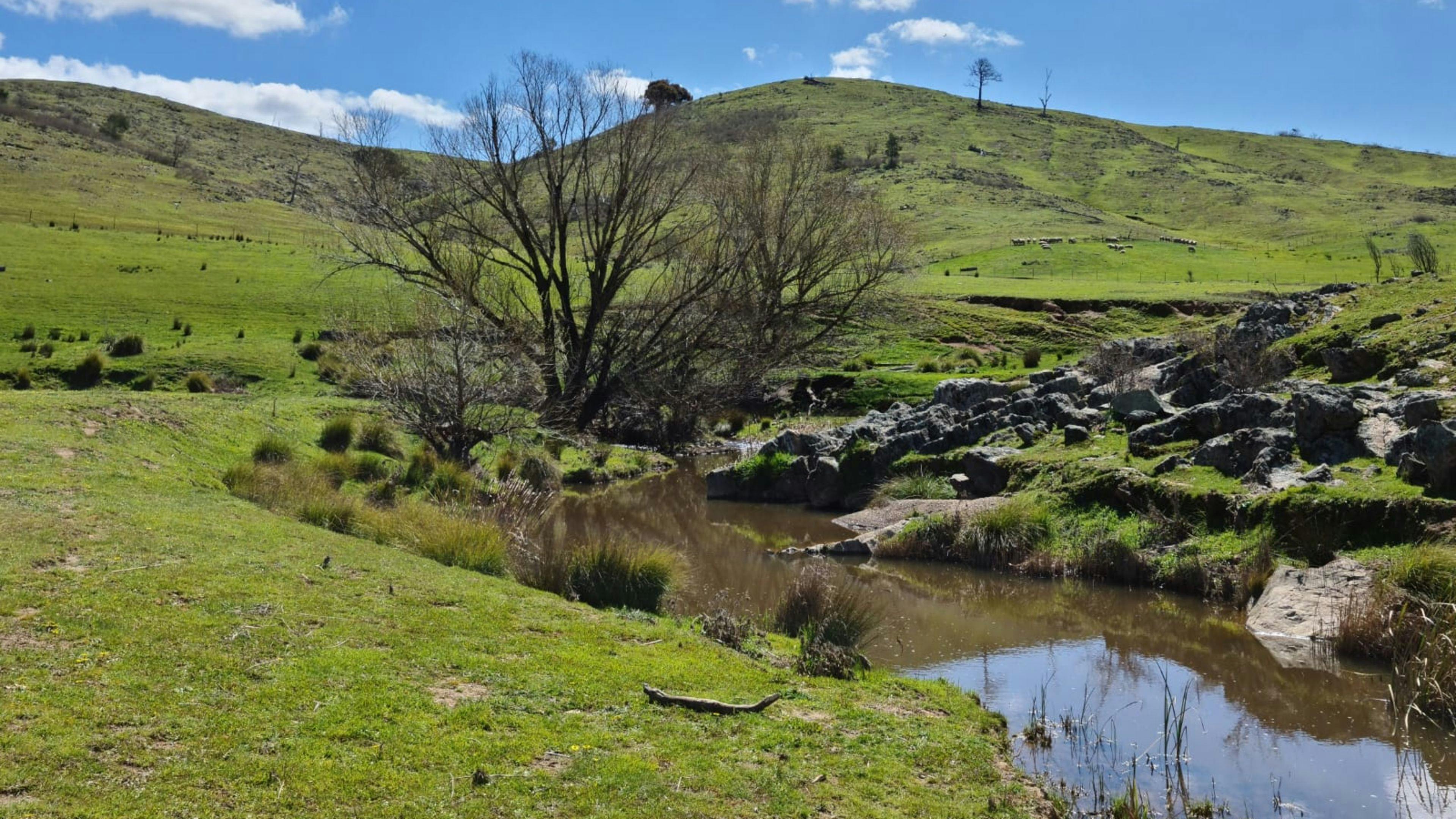 Redlands Camping