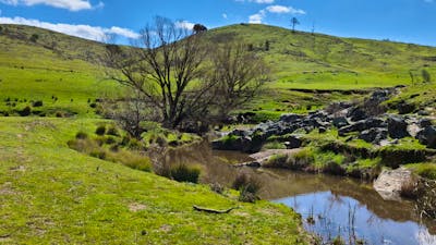 Redlands Camping