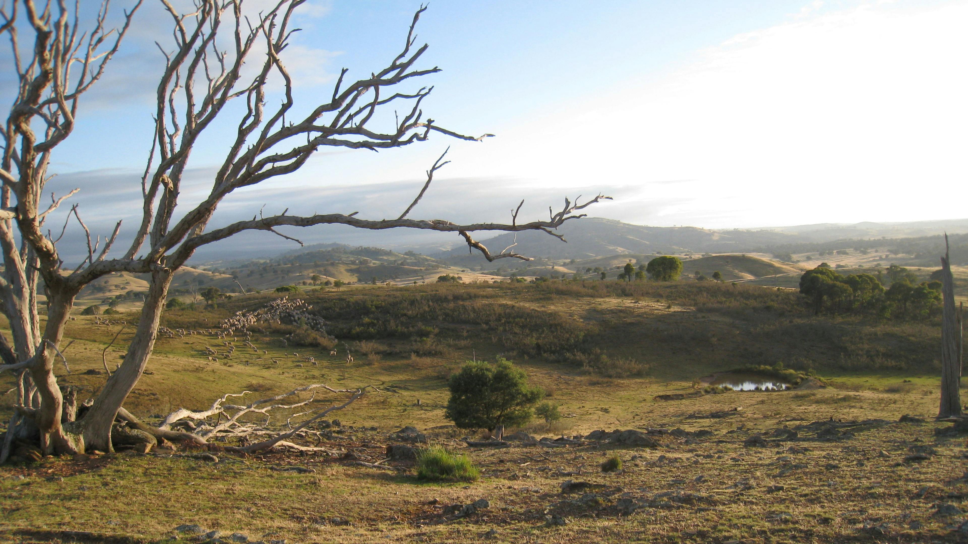 Redlands Camping