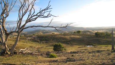 CLICK TO VIEW FULL GALLERY