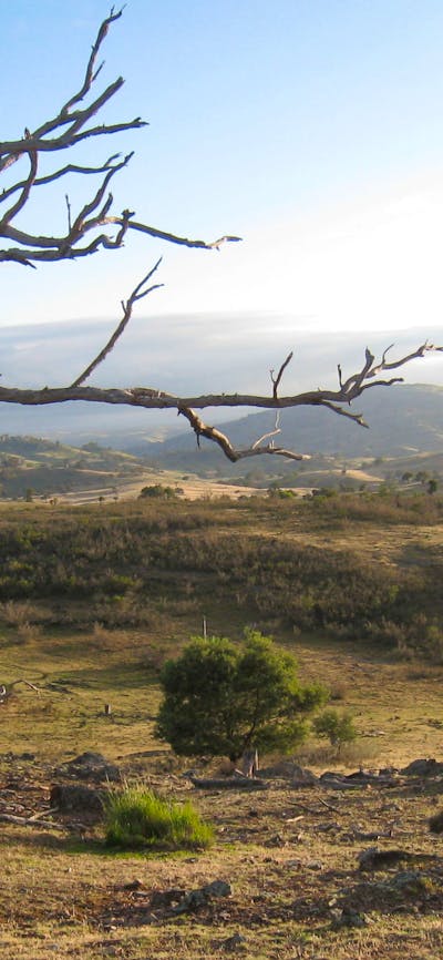 CLICK TO VIEW FULL GALLERY