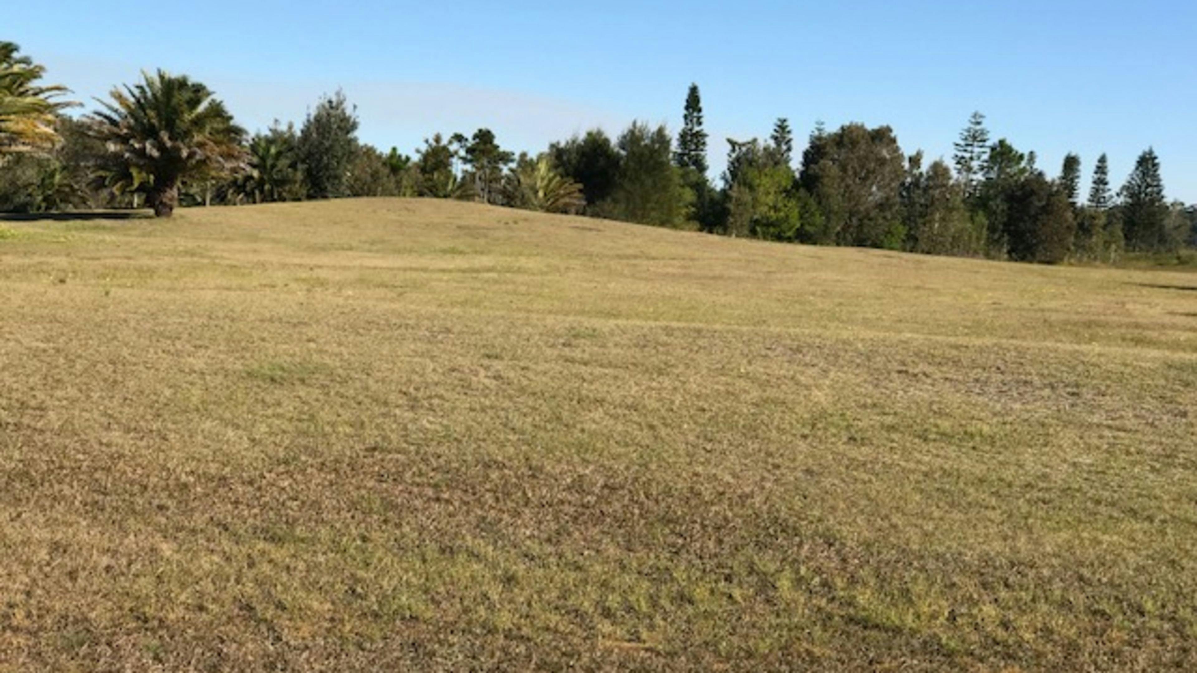 Camping area