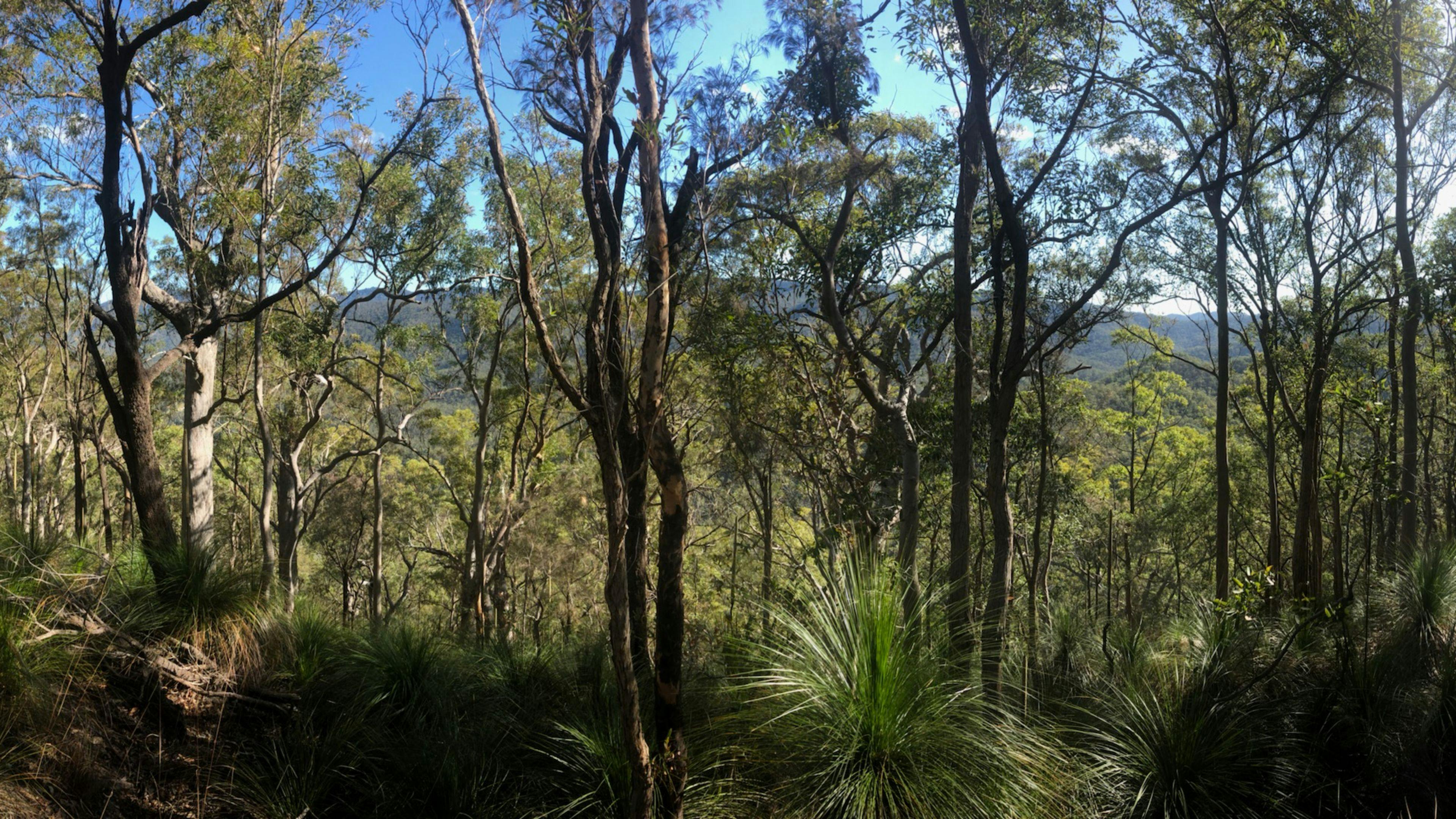 Relaxing Rural Retreat
