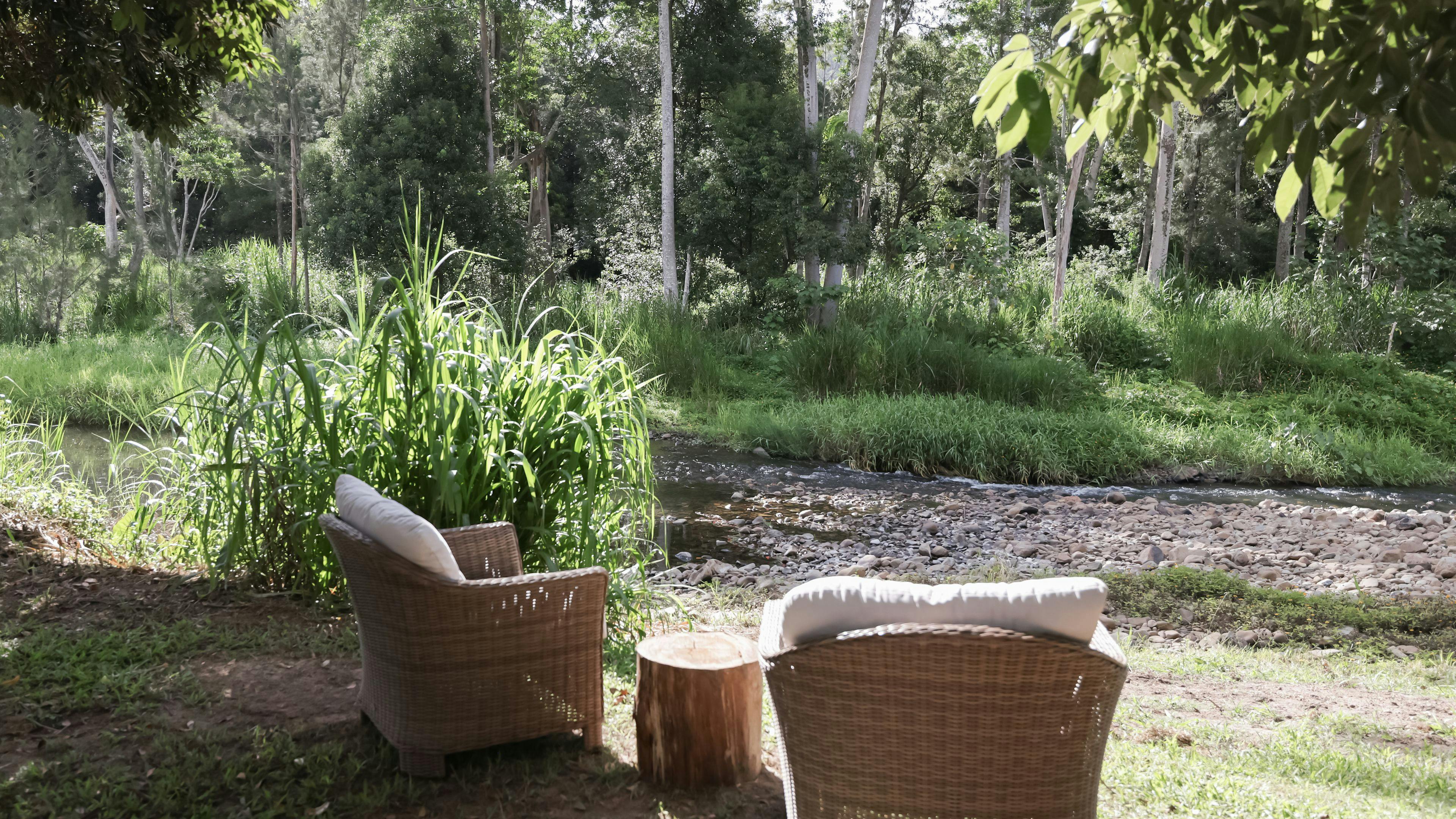 RESET Tallebudgera Valley