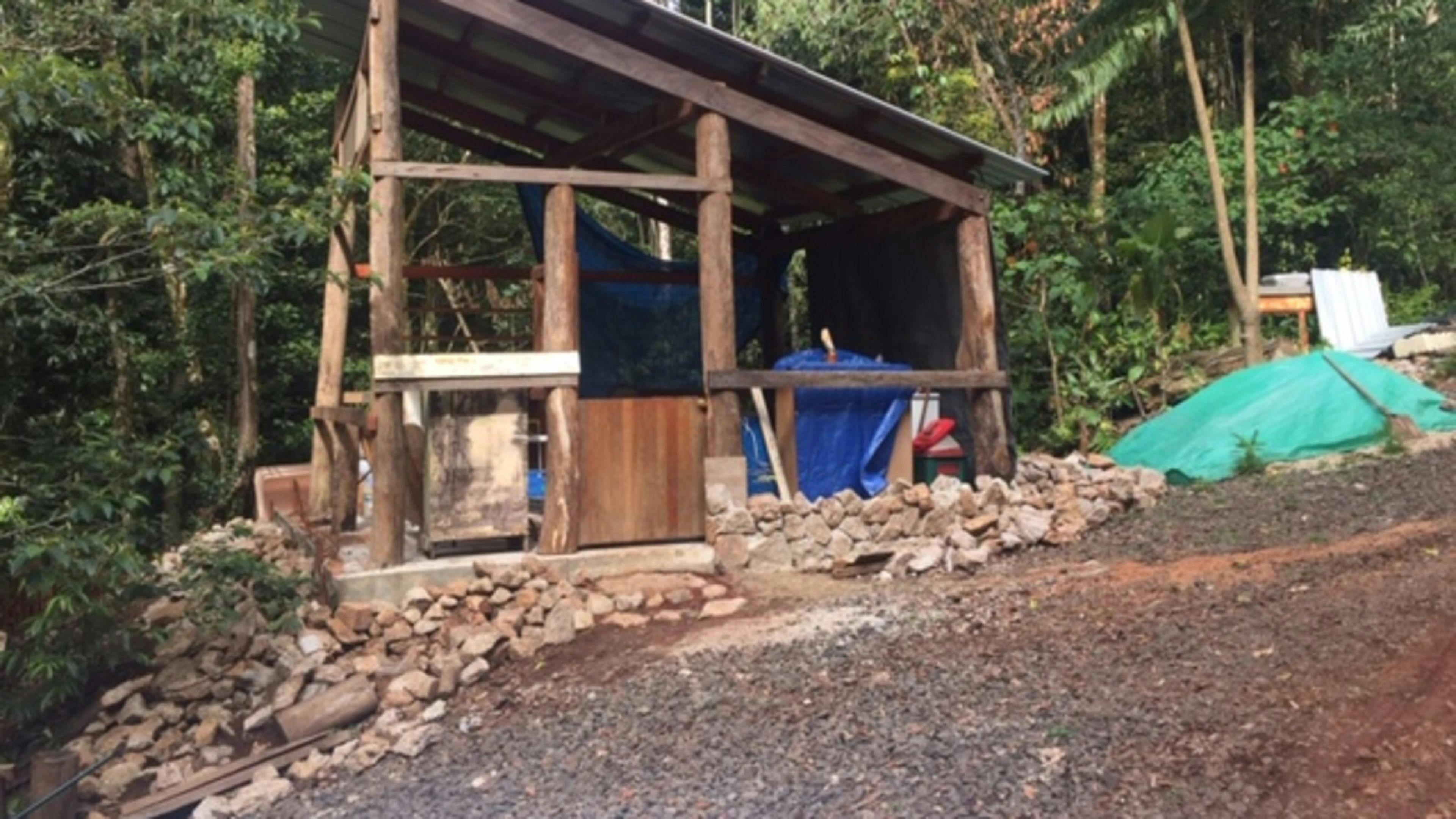 Resonance - Forest Song