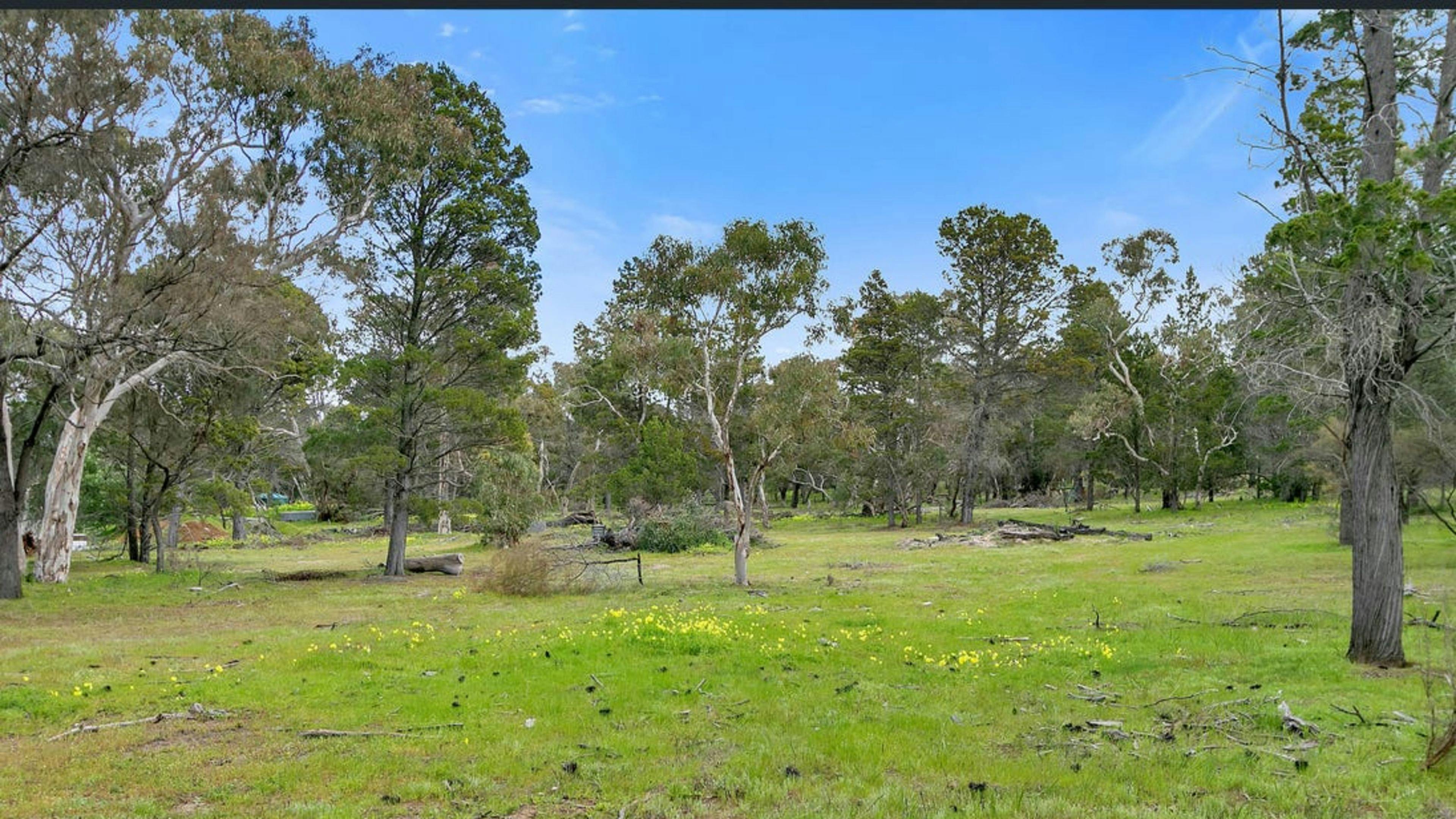 Sandy Hill: Lyndoch, Barossa Valley