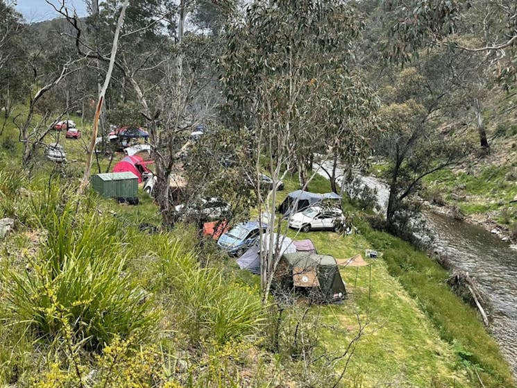 A big group at Wallaby flat