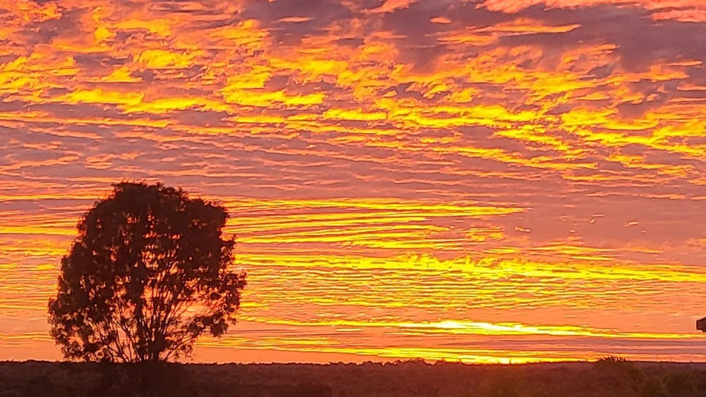 Top Camp Roadhouse Caravan Park