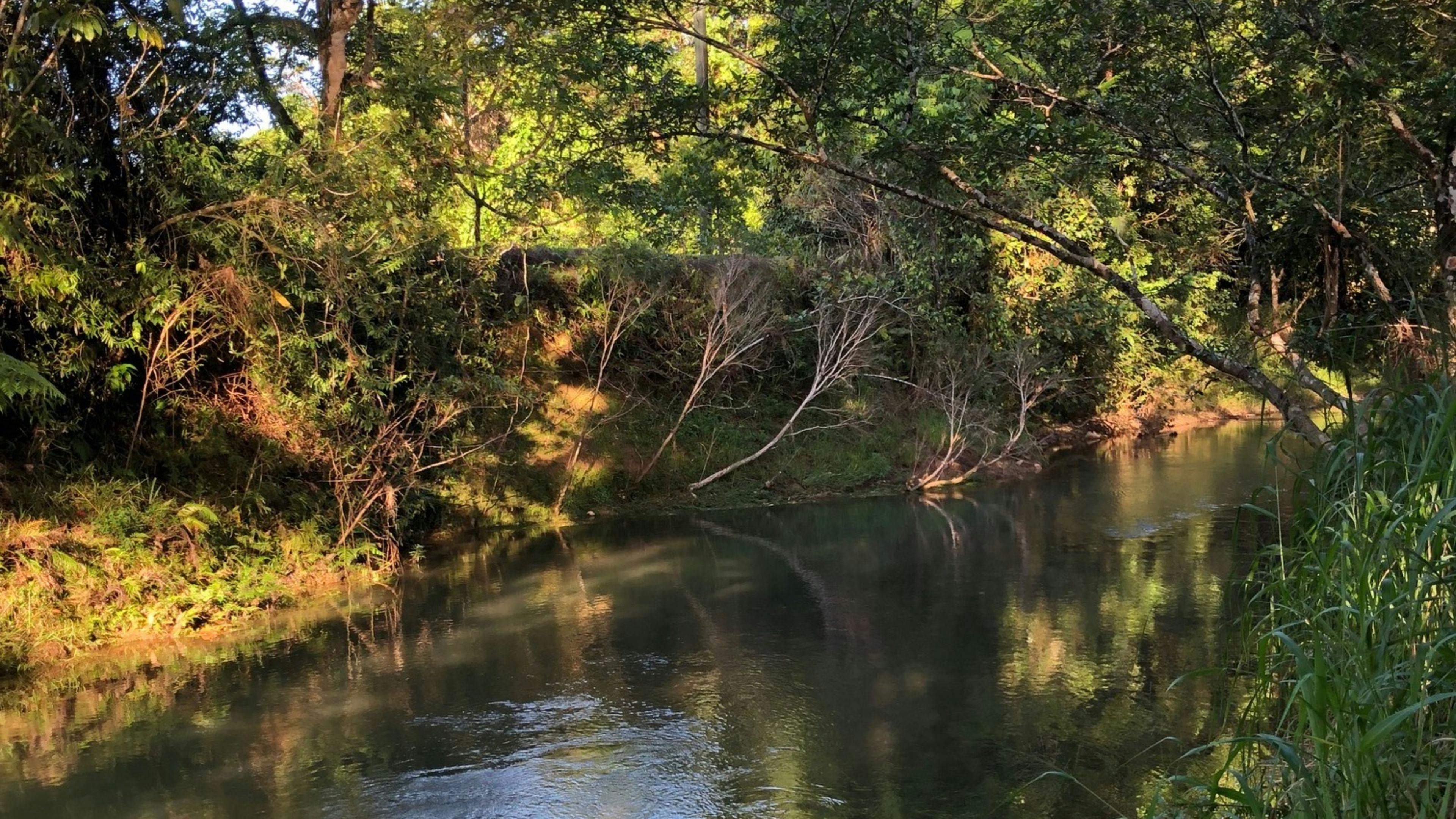 Woopen Creek Vanilla - Camping