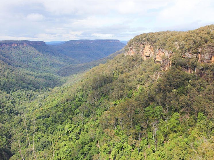 The view from Richardson lookout in Morton National Park. Photo credit: Geoffrey Saunders &copy;