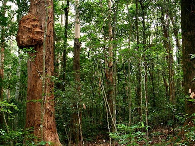 Richmond Range National Park