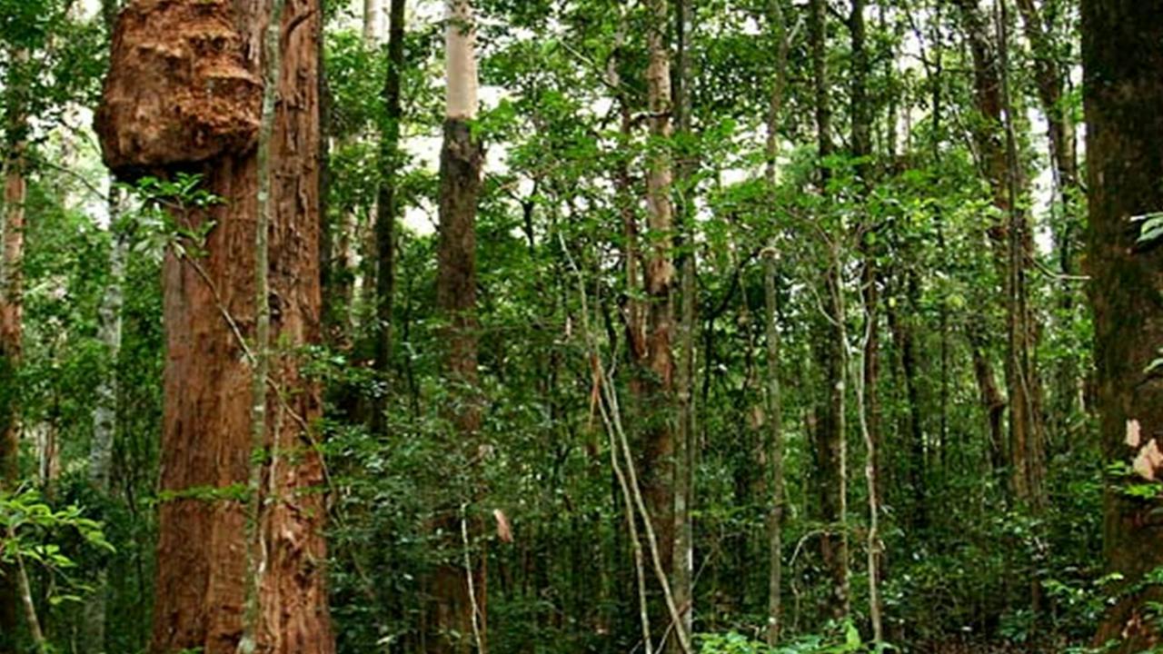 Richmond Range National Park