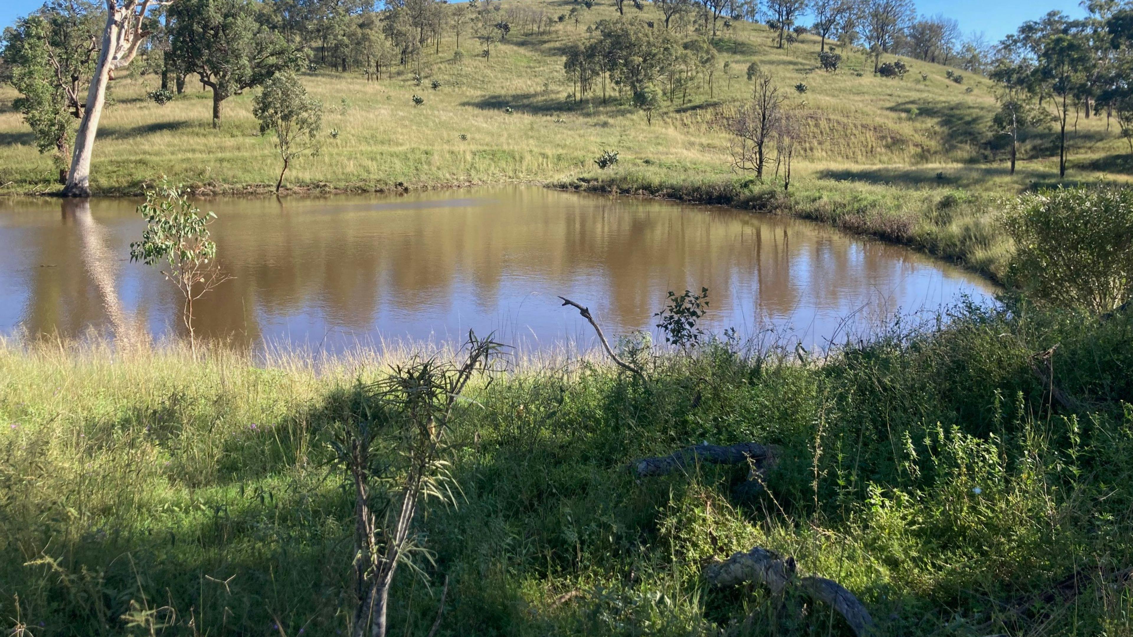 Risdon Stud