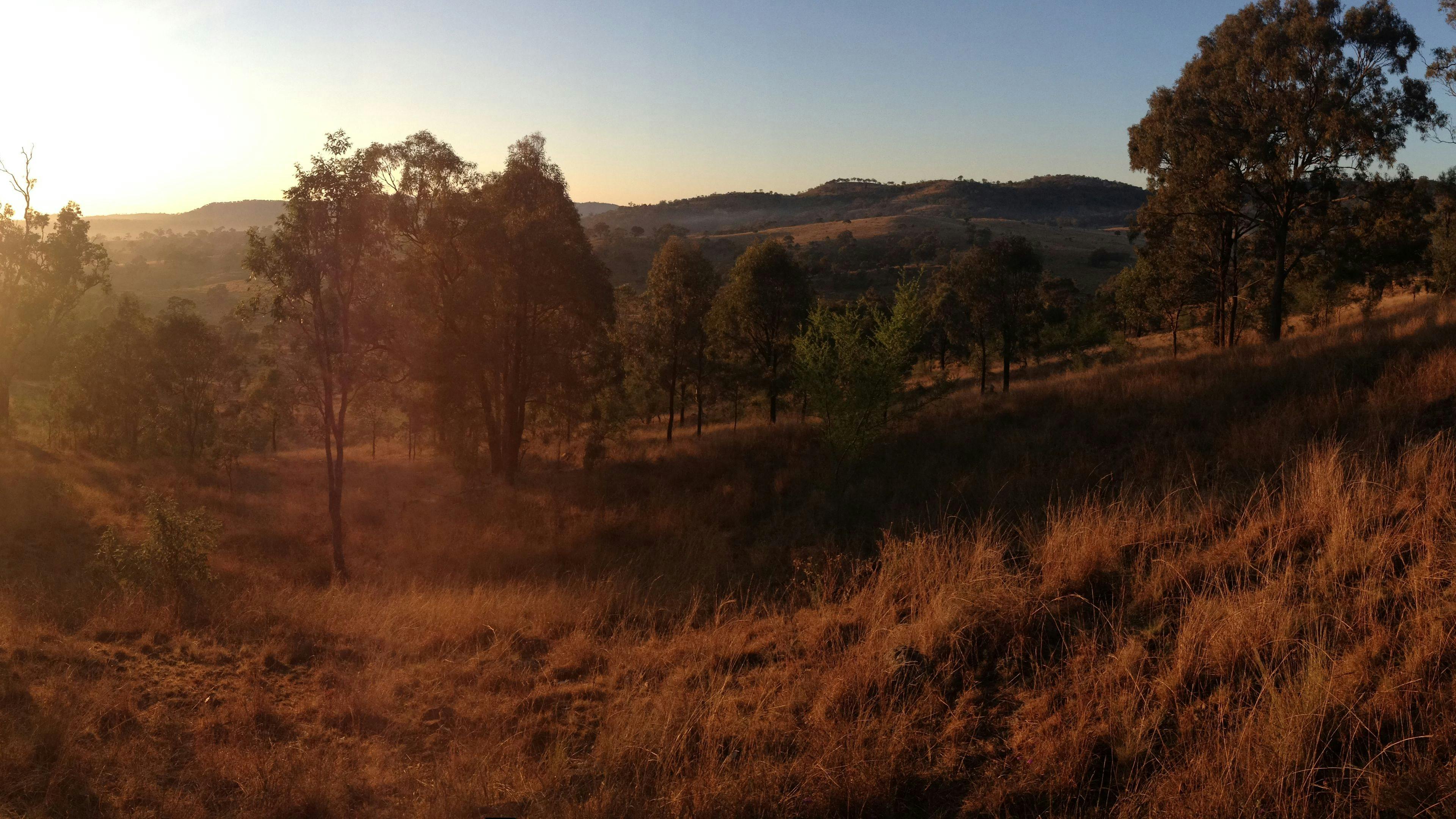 Risdon Stud