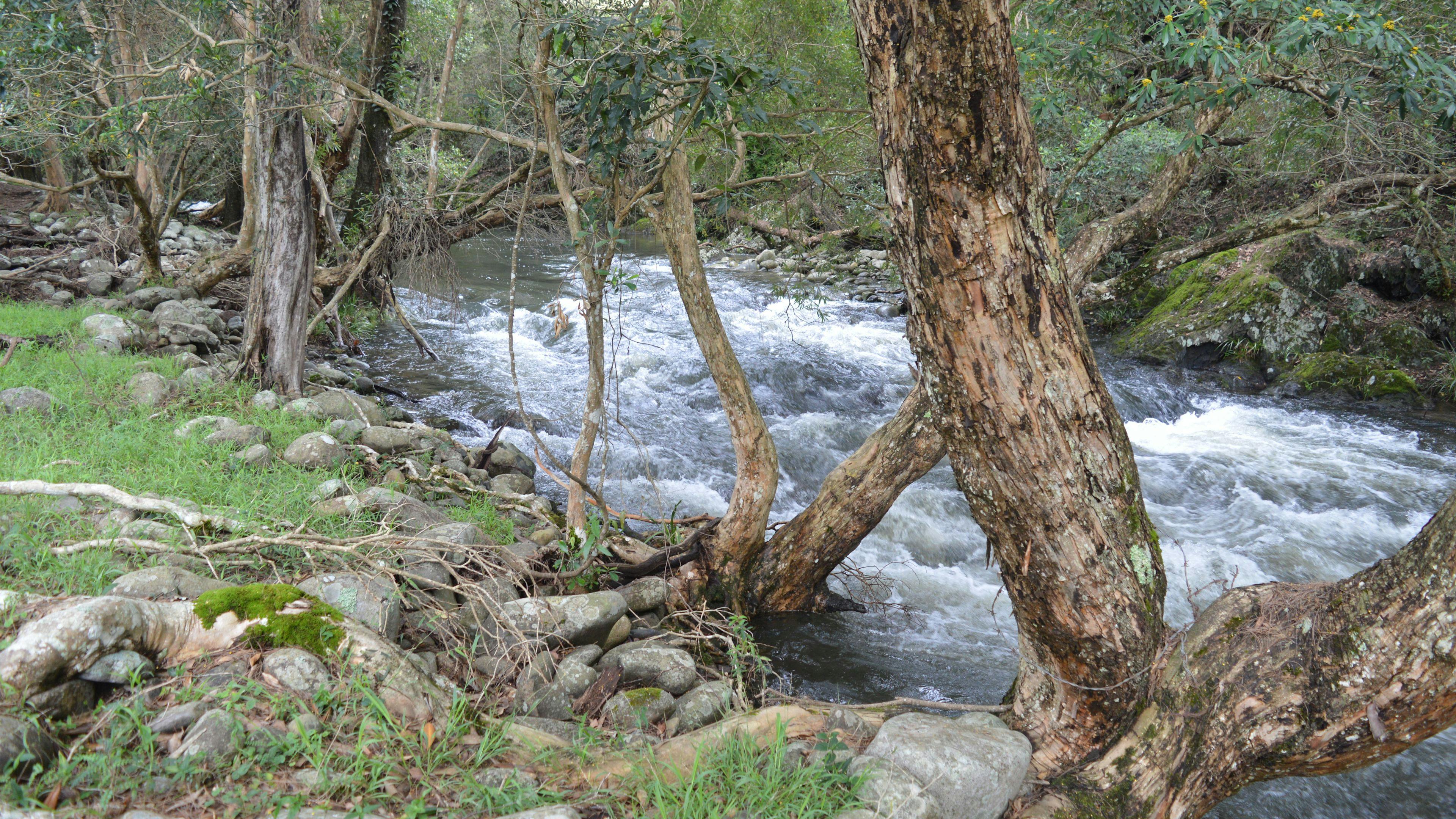 River Front Campsites